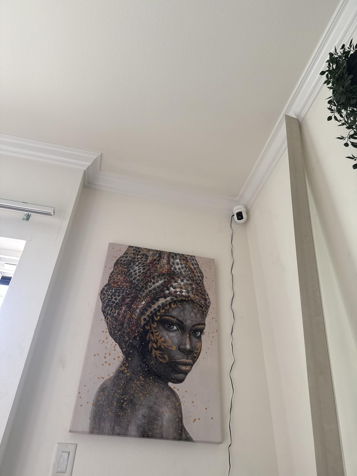 Kasa 2K+ Indoor Pan/Tilt Wired Security Camera - Works as a Baby Monitor & Pet Camera, Motion Detection & Tracking, 2-Way Audio, Night Vision, Subscription-Free Local Storage or Optional Cloud, KC410S customer photo 1