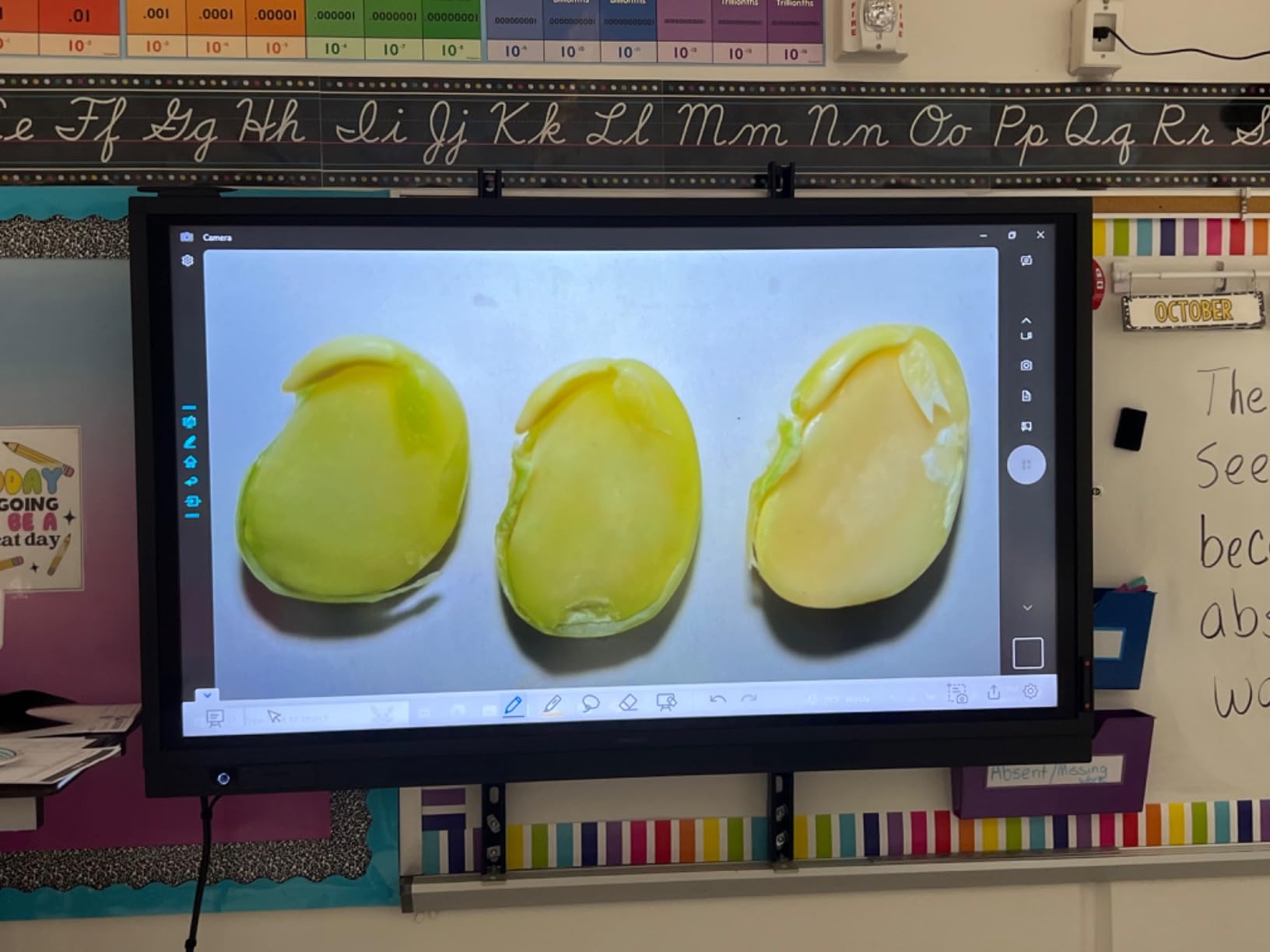 INSWAN INS-2 4K USB Document Camera - 13MP, Dual Auto-Focus, LED Light and Microphone, Plug & Play, Mac, Windows, iPad, Chromebook, A3 Capture - Ideal for Teachers and Classrooms customer photo 1