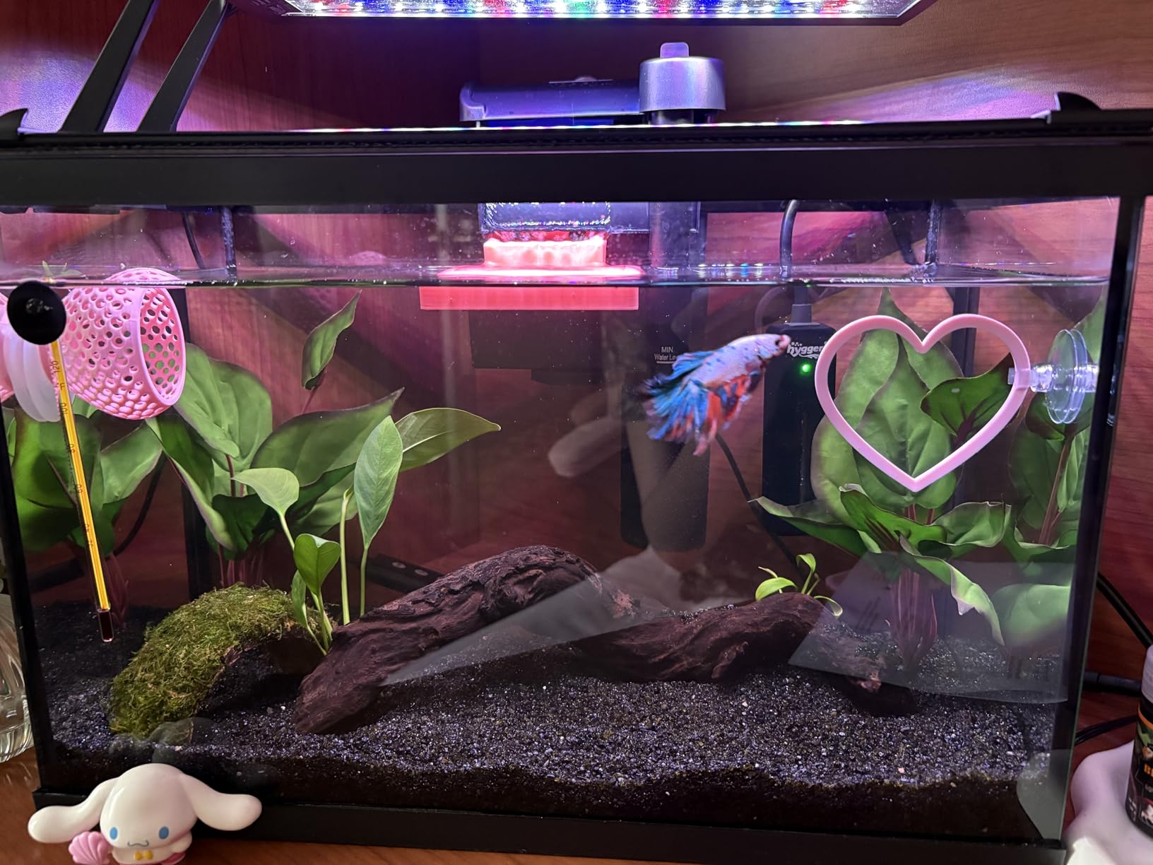 hygger Clip On 24/7 Lighting Aquarium LED Light,Sunrise-Daylight-Moonlight and DIY Mode, Adjustable Timer/Brightness Fish Tank Light with 7 Colors for Planted Tank (14W for 12~20in Tank) customer photo 1