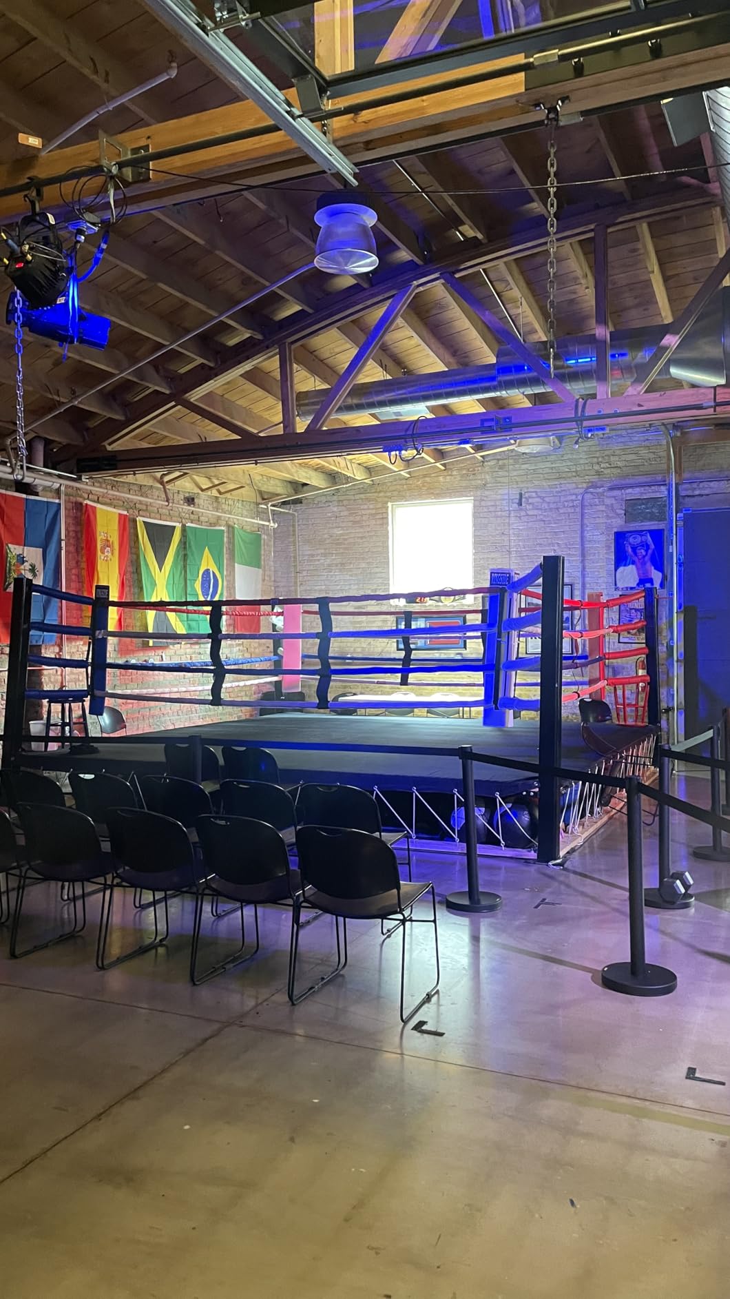 VEVOR Crowd Control Stanchion Set, Stanchion Set with 6.6 ft/2 m Black Retractable Belt, Black Crowd Control Barrier w/Concrete and Solid Metal Base - Easy Connect Assembly (6) customer photo 2