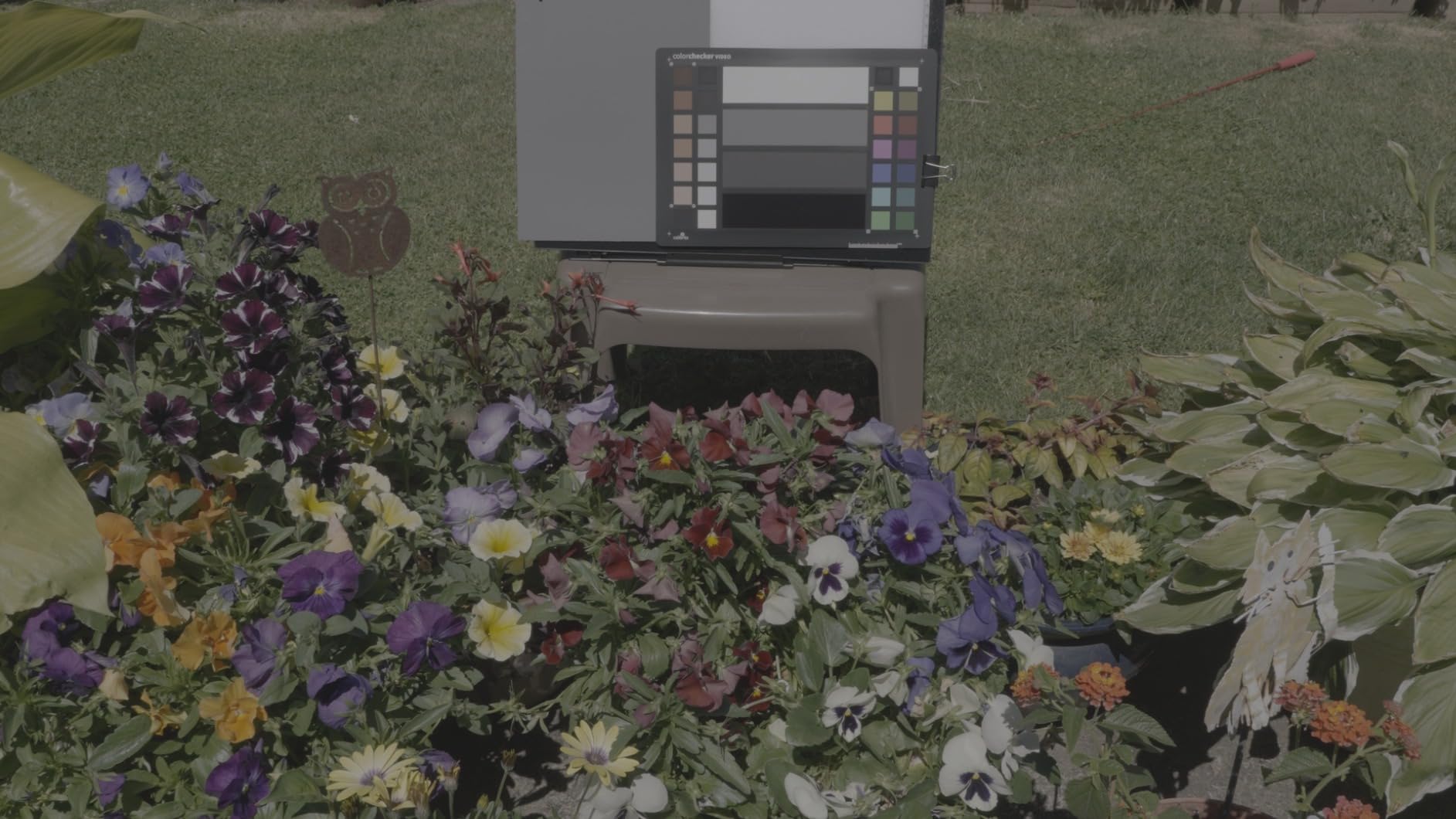 Calibrite ColorChecker Video Color Target w/White Balance Reference for Video Production, Vectorscope and Waveform Optimized Layout with Skin Tones and Grays, 8 x 11.5 inch Chart (CCVWB) customer photo 1