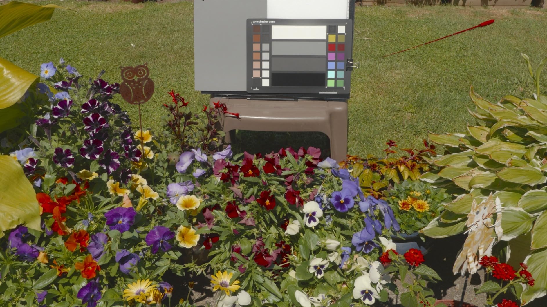 Calibrite ColorChecker Video Color Target w/White Balance Reference for Video Production, Vectorscope and Waveform Optimized Layout with Skin Tones and Grays, 8 x 11.5 inch Chart (CCVWB) customer photo 2