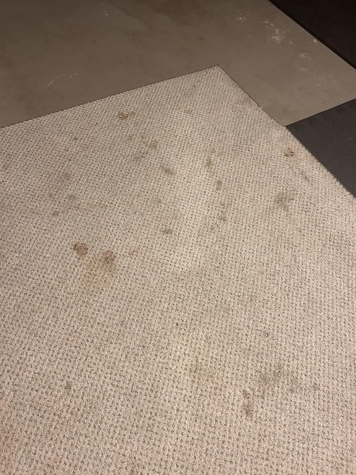 Hoover CleanSlate Plus Portable Carpet + Upholstery Spot Cleaner Machine customer photo 2