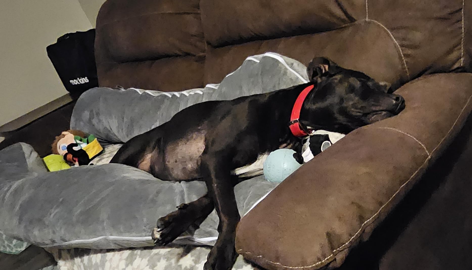 QUEEN ROSE Pregnancy Pillow, U Shaped Full Body Pillows for Sleeping Support, 55 Inch Maternity Pillow for Pregnant Women with Cooling Silky Cover, Blue customer photo 2