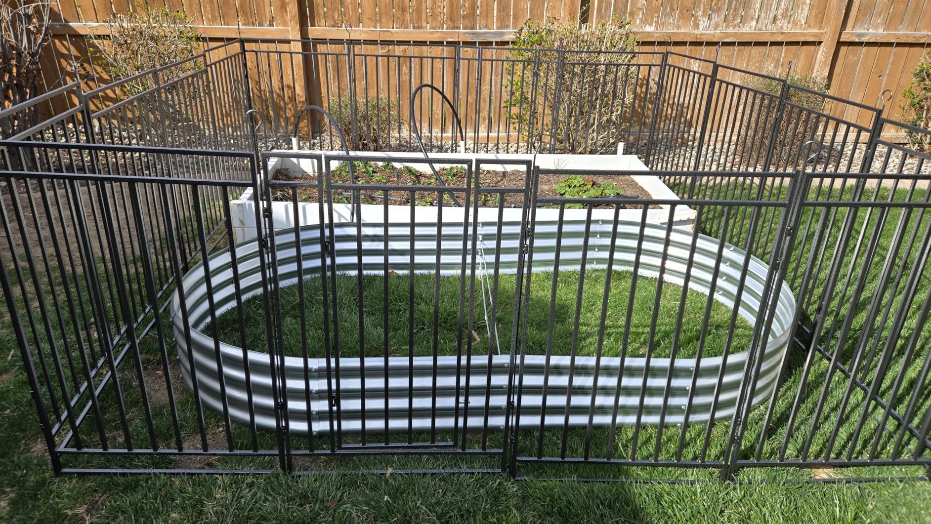 Land Guard Galvanized Raised Garden Bed Kit, Galvanized Planter Garden Boxes Outdoor, Oval Large Metal Raised Garden Beds for Vegetables customer photo 2