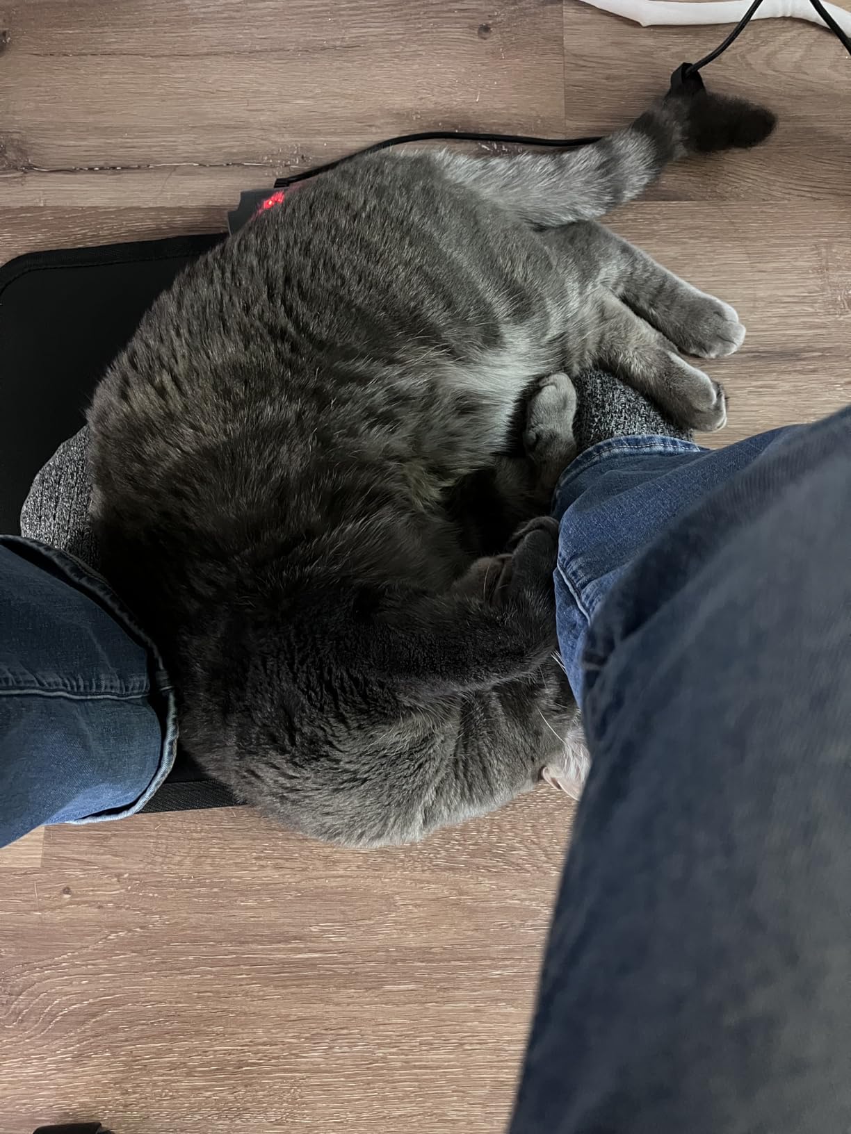 Heated Floor Mat Under Desk for Foot Warmer - Wider 110V Adjustable Temperature Electric Space Heaters Heating Pad - Carbon Crystal & Energy Saving Feet Warmers for Office,Home customer photo 1