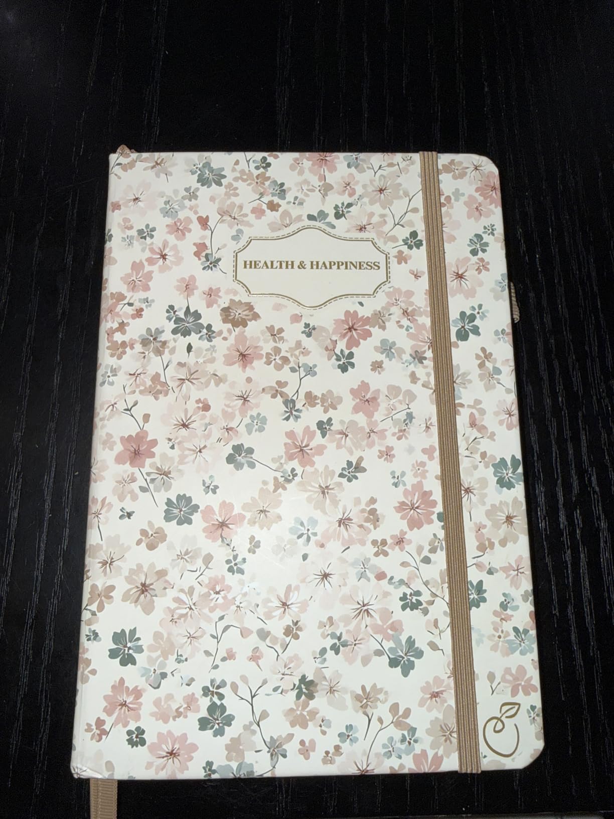 Life and Apples Daily Wellness Journal - Guided Journal and Planner for Wellbeing, Gratitude and Healthy Routines | Food and Fitness Journal, Habit Tracker, Weight Loss Diary | Undated A5 Lavender customer photo 1