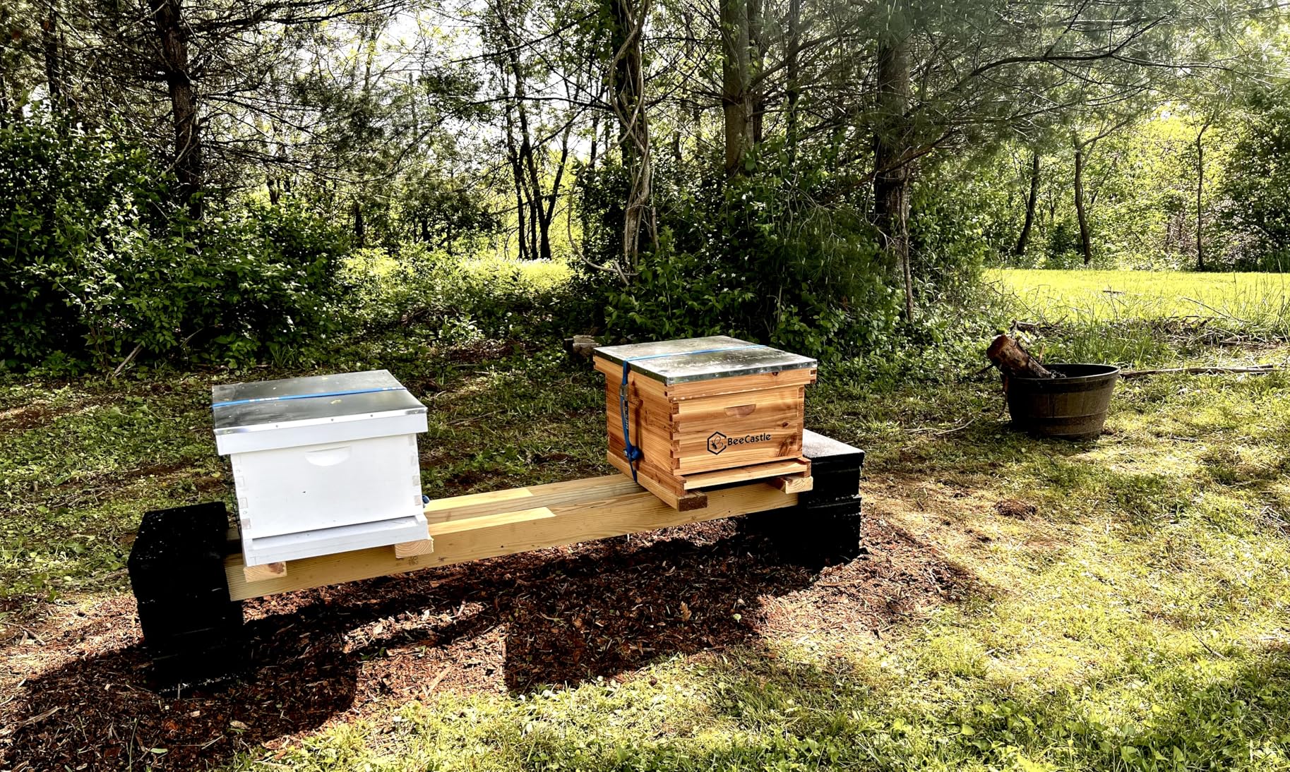 10-Frame Bee Hives and Supplies Starter Kit,Beehive Kit Dipped in 100% Beeswax,Bee Keeping Supplies-All Beginners Kit Includes Beekeeping Supplies Tool Set and Bee Suit customer photo 1