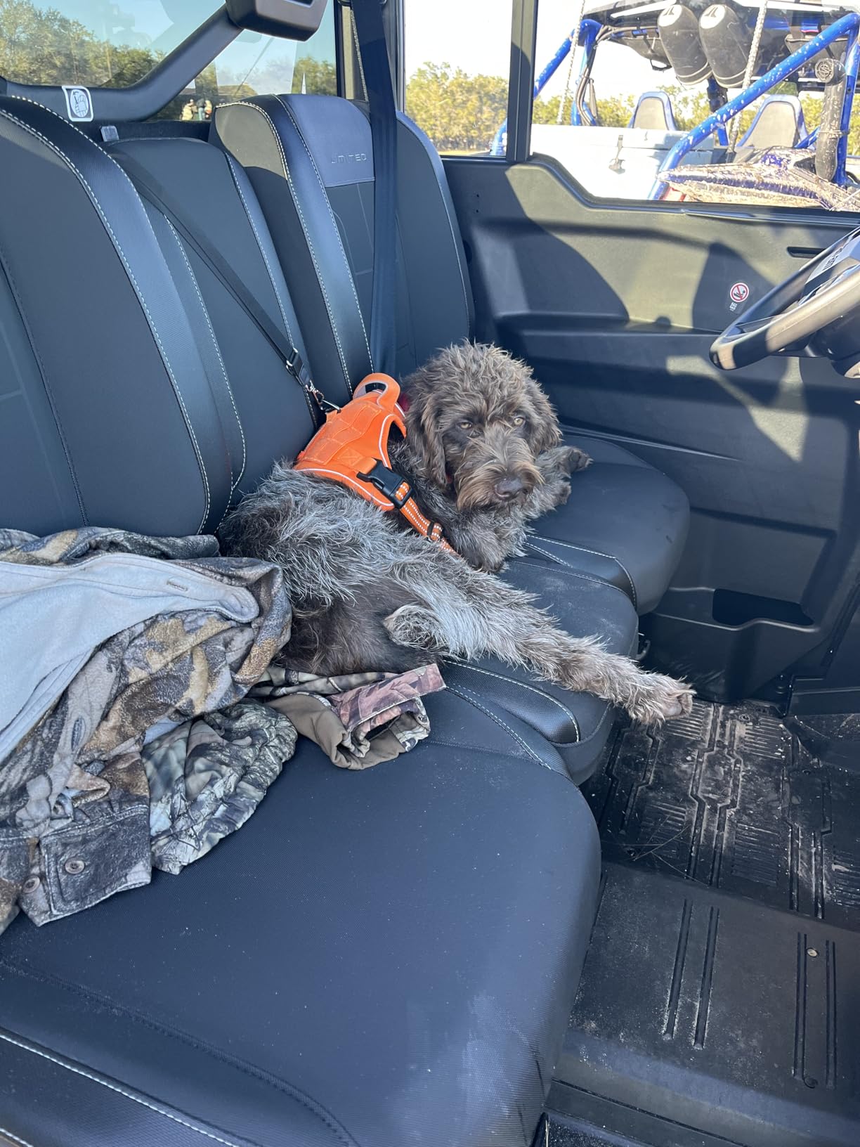 rabbitgoo Tactical Dog Harness for Large Dogs, No Pull Military Service Vest with Handle & Molle, Easy Control for Training Walking, Adjustable Reflective Straps, Black, L customer photo 2