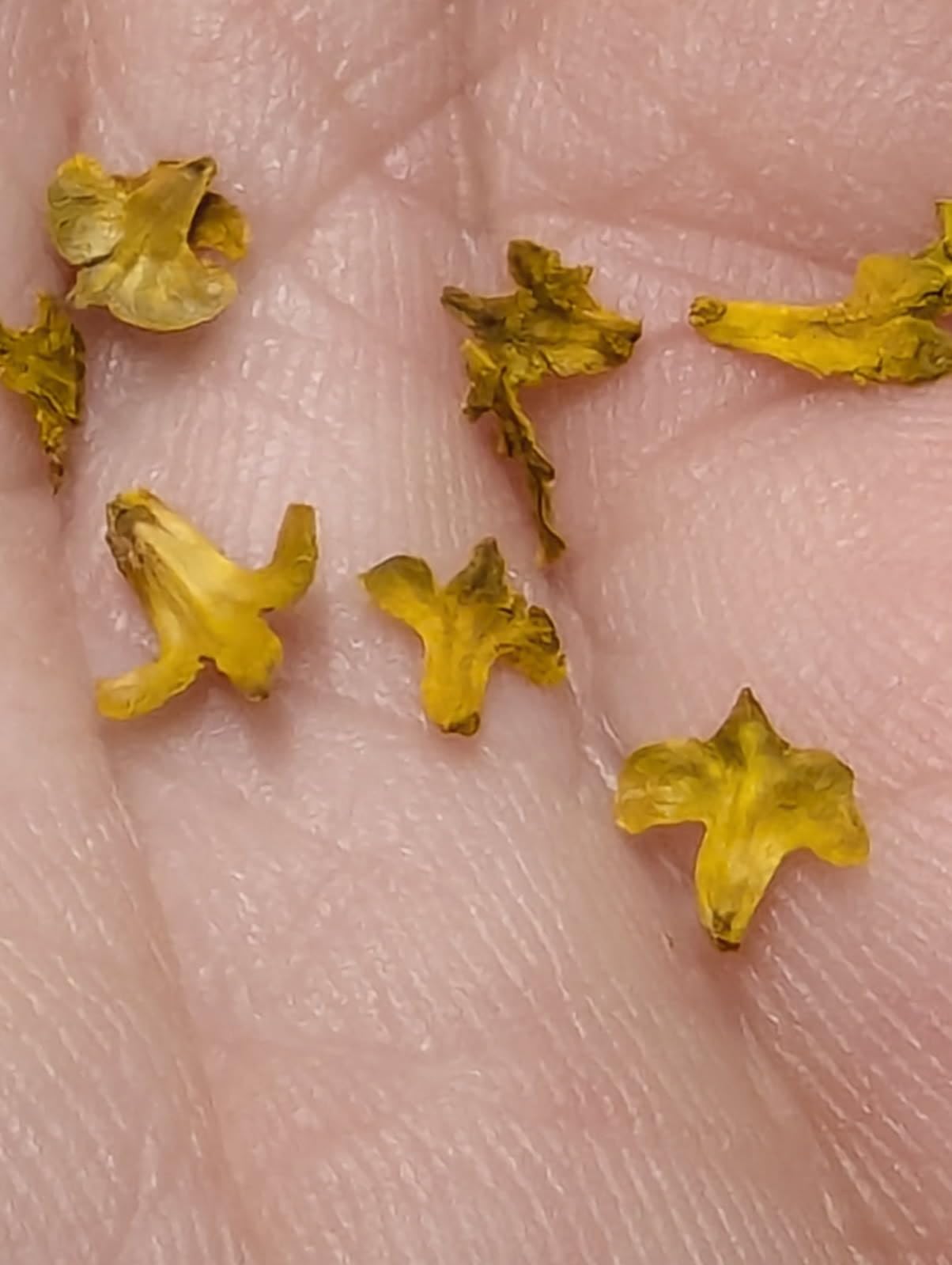 Warmtree Realistic Miniature Leaves Simulation Leaves for DIY Mini Model Railway Fairy Garden Architecture Diorama Scenery Landscape Layout Diorama Village Accessories, Pack of 4 customer photo 1