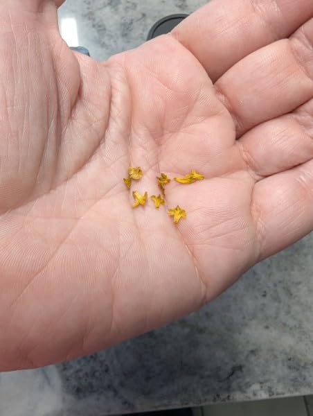 Warmtree Realistic Miniature Leaves Simulation Leaves for DIY Mini Model Railway Fairy Garden Architecture Diorama Scenery Landscape Layout Diorama Village Accessories, Pack of 4 customer photo 2