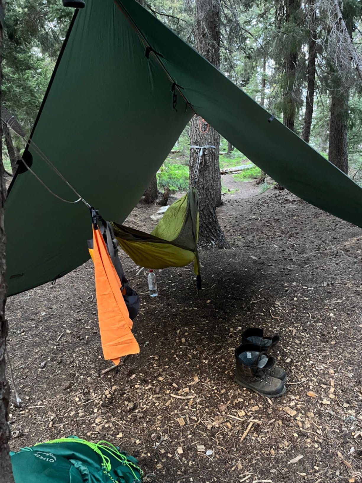 EN Eagles Nest Outfitters SingleNest Lightweight Camping Hammock customer photo 1