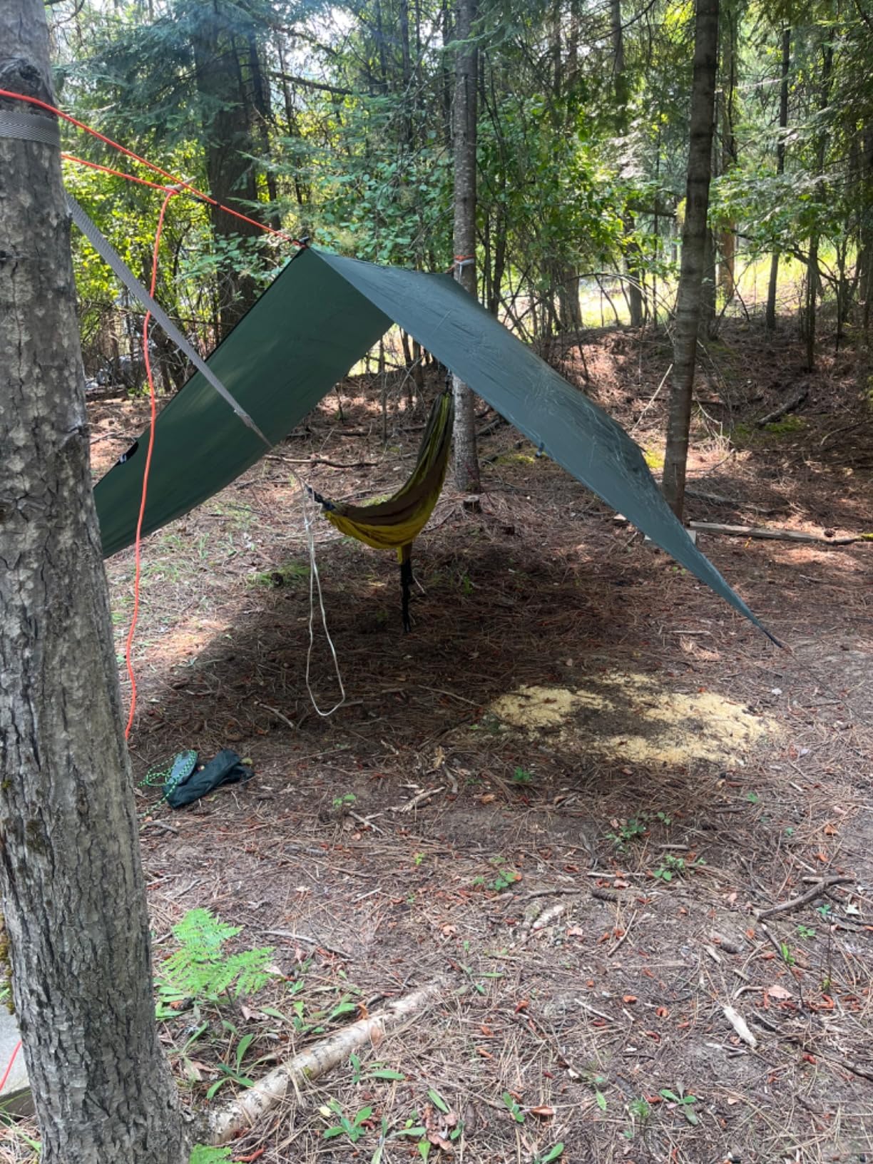 EN Eagles Nest Outfitters SingleNest Lightweight Camping Hammock customer photo 2