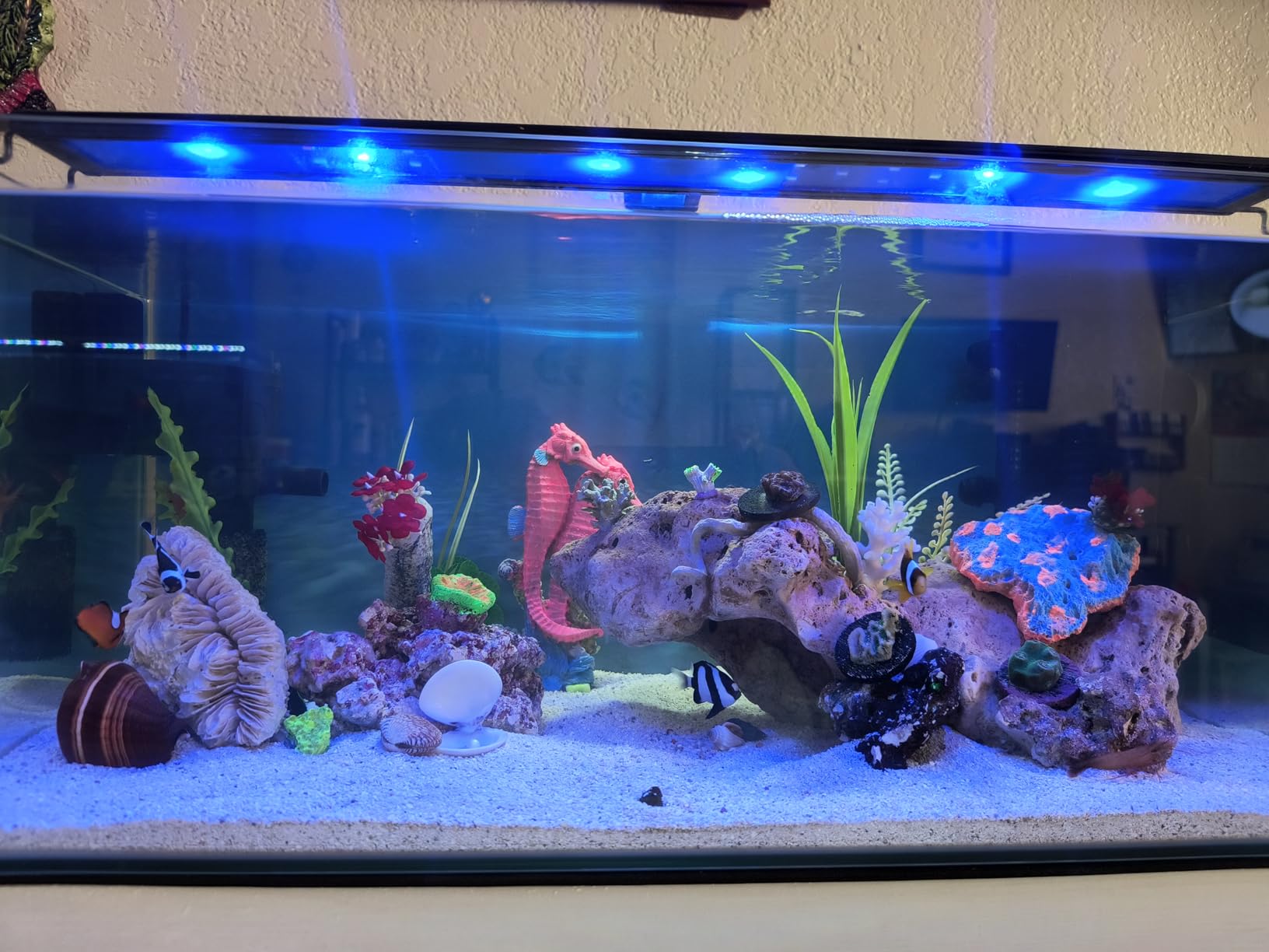 AQUANEAT LED Aquarium Light for 18 to 24 Inch Fish Tank, Auto On Off with Timer, Full Spectrum, Adjustable Brightness, Daylight Moonlight Mode, for Fresh Water Low-to-Mid Light Plants customer photo 1