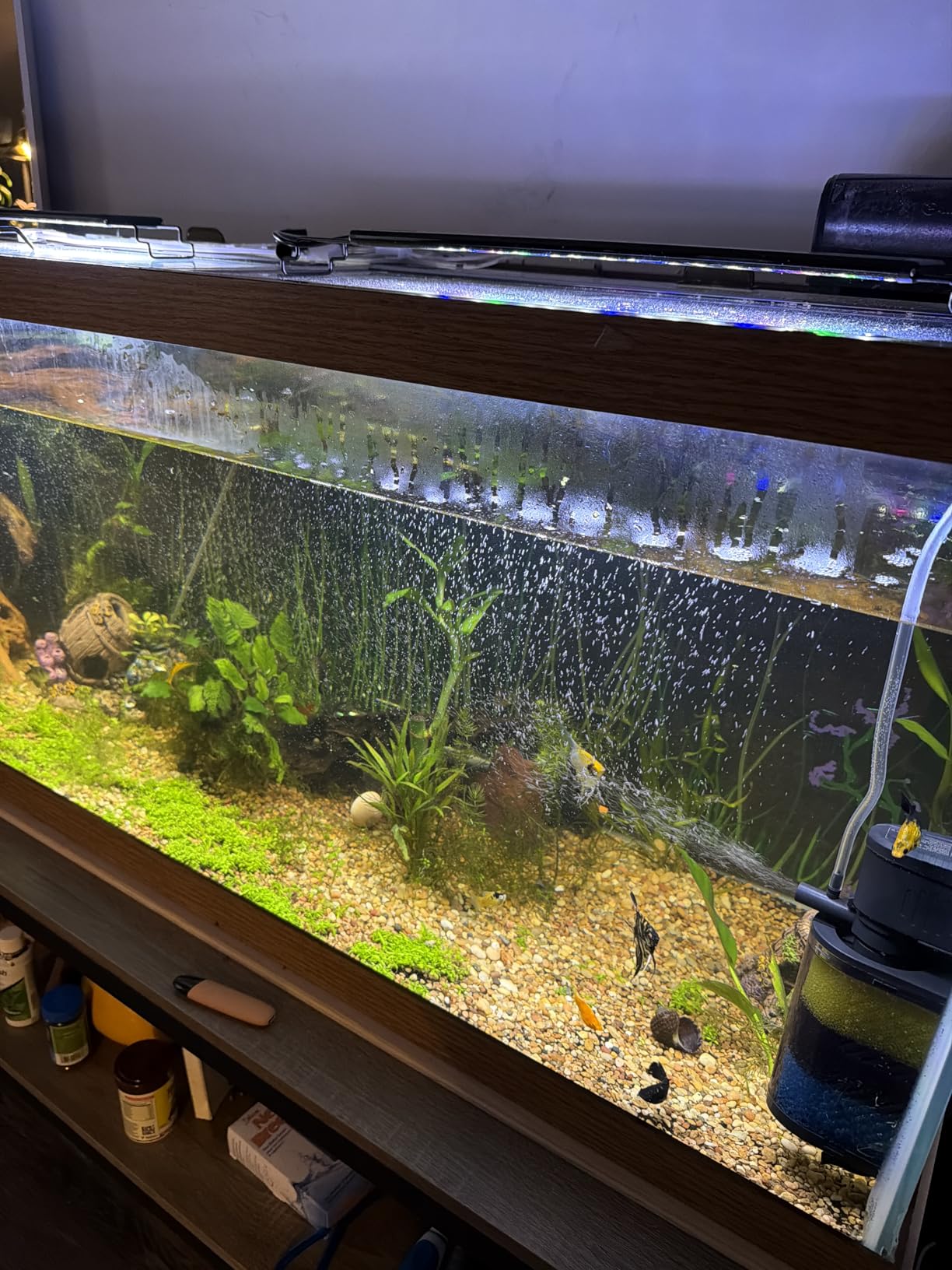 AQUANEAT LED Aquarium Light for 18 to 24 Inch Fish Tank, Auto On Off with Timer, Full Spectrum, Adjustable Brightness, Daylight Moonlight Mode, for Fresh Water Low-to-Mid Light Plants customer photo 2