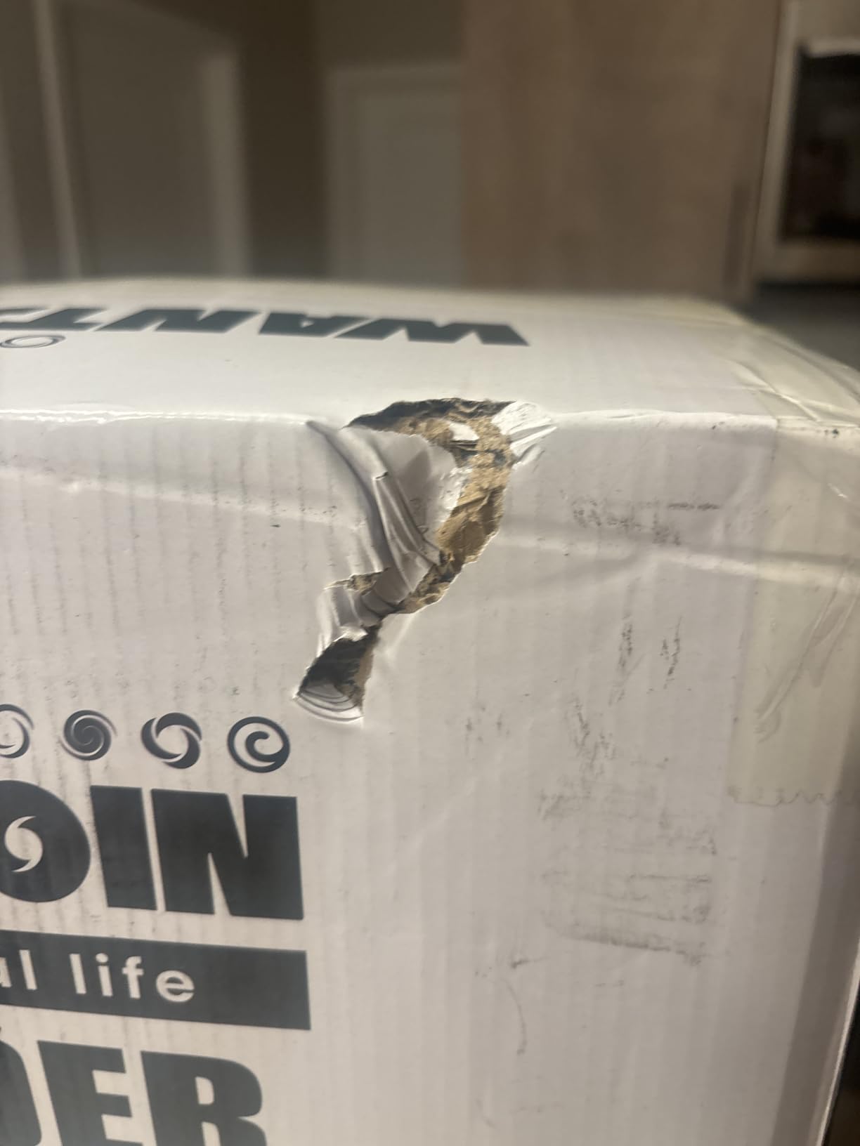 WantJoin Commercial Professional Blender With Shield Quiet Sound Enclosure 2200W Industries Strong and Quiet Professional-Grade Power, Self-Cleaning, Silver customer photo 1