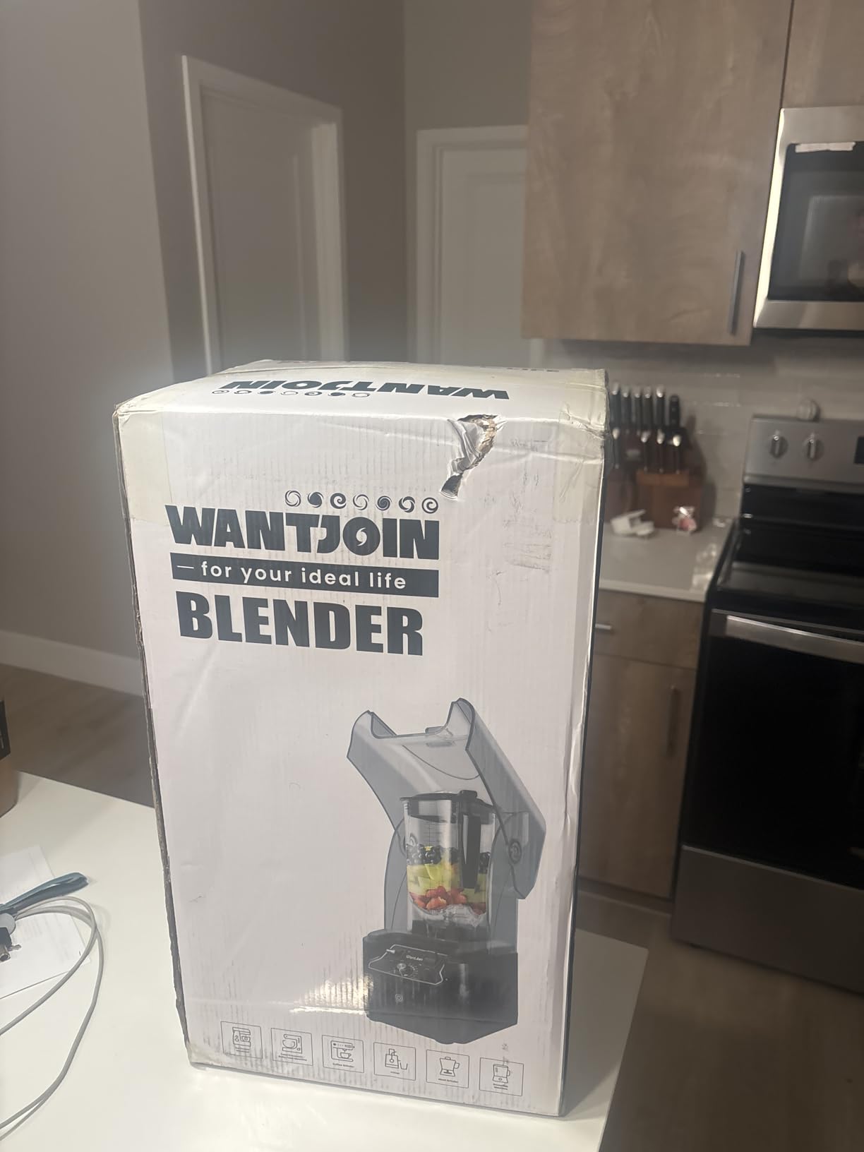 WantJoin Commercial Professional Blender With Shield Quiet Sound Enclosure 2200W Industries Strong and Quiet Professional-Grade Power, Self-Cleaning, Silver customer photo 2