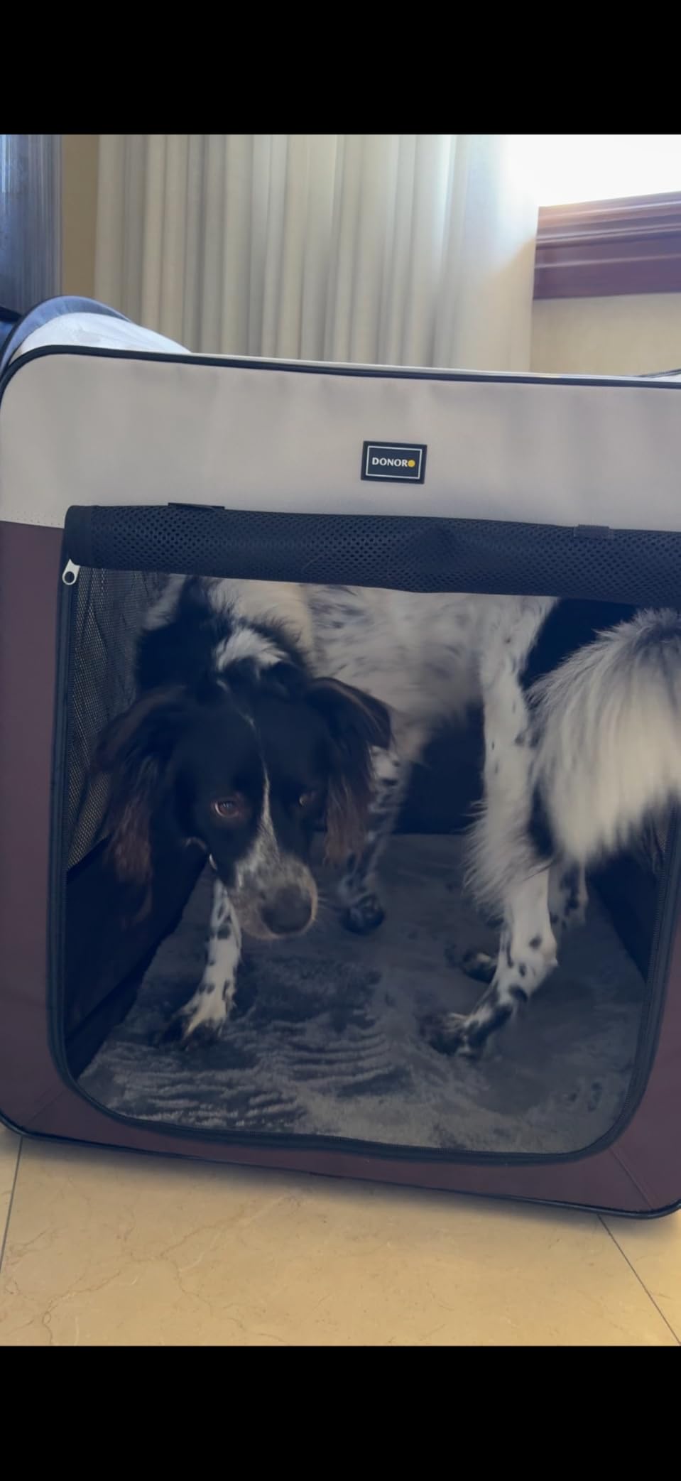 DONORO Dog Kennels and Crates for Medium Dogs, Portable Pop Up Indoor Pet Cage with Sturdy Wire Frame, Collapsible Travel Crate Soft Sided Cat Bag Escape Proof (Brown, 28.0