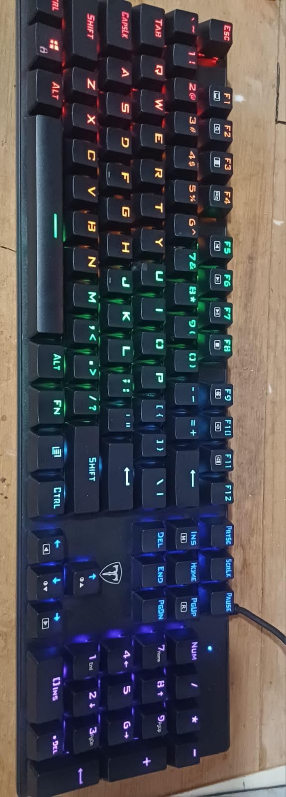 RisoPhy Mechanical Gaming Keyboard, RGB 104 Keys Ultra-Slim LED Backlit USB Wired Keyboard with Blue Switch, Durable Abs Keycaps/Anti-Ghosting/Spill-Resistant Computer Keyboard for PC Mac Xbox Gamer customer photo 2