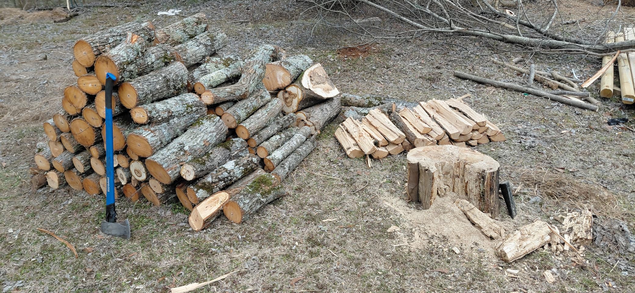 EGO POWER+ Chain Saw, 16