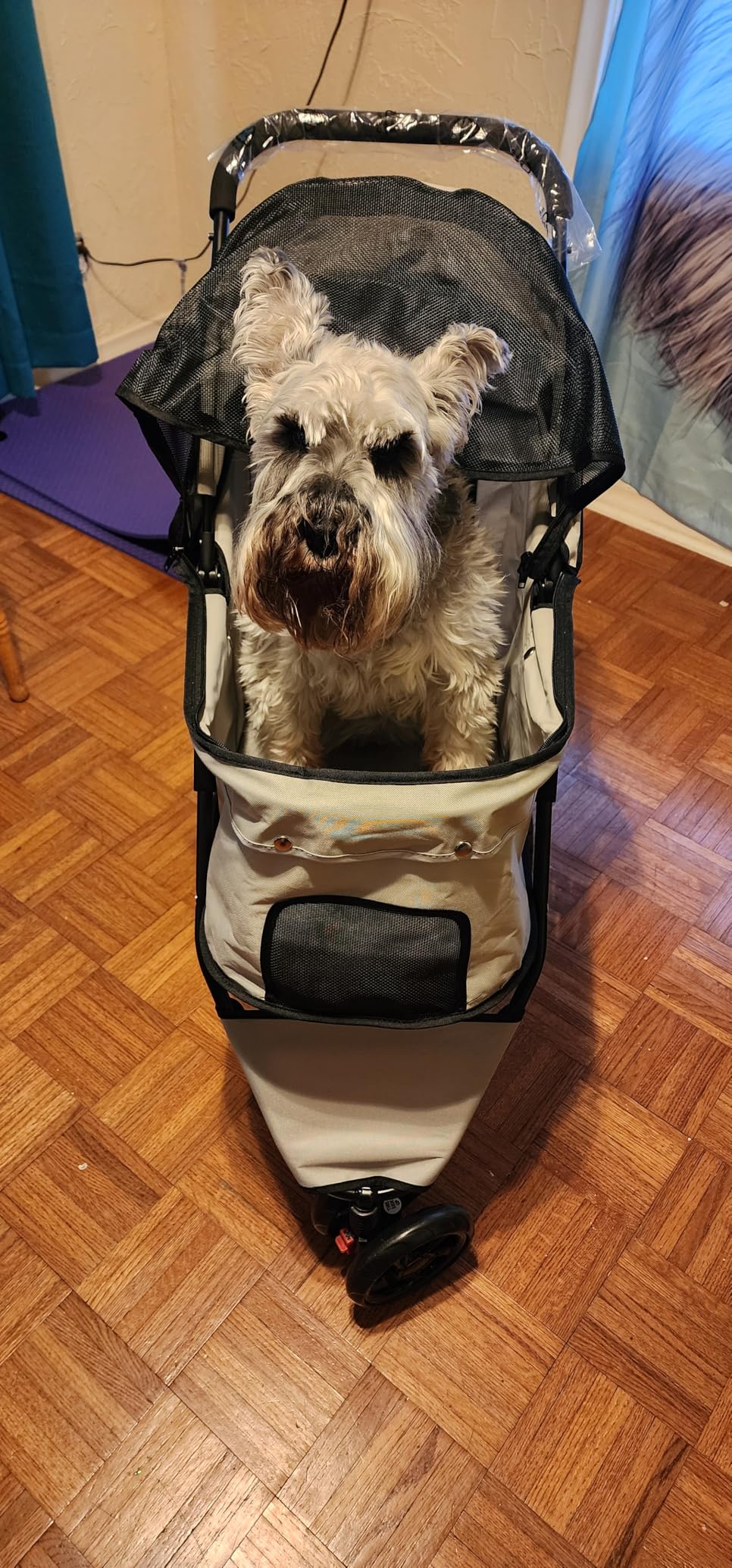 Carlson Pet Products Stroller, Includes 360 Degree Front Wheel Swivel, Rear Wheel Breaks, Reflective Trim, Mesh Panels, Umbrella and Mesh Canopy, Khaki customer photo 1