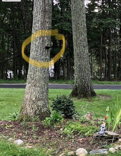 Wireless Driveway Alarm, Outdoor Weatherproof Motion Sensor & Detector with 600ft Range, Microwave Infrared Home Security Alert System for Driveway/Garage/Indoor/Outdoor customer photo 2