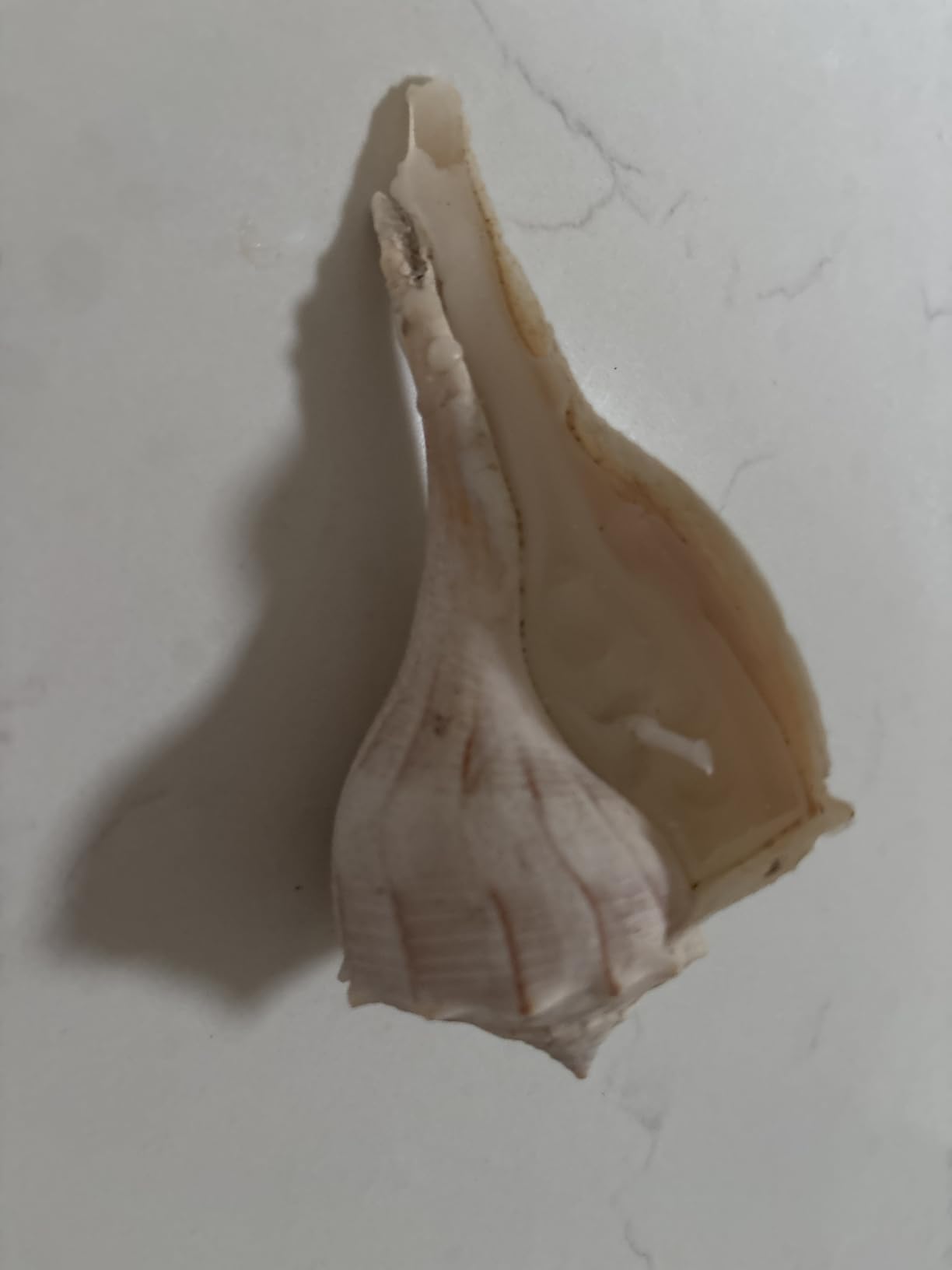 Ksedcon Candle Melting Pot, Electric Wax Melter for Candle Making with Pouring Spout, Non-Stick Small Candle Making Pouring Pot customer photo 2