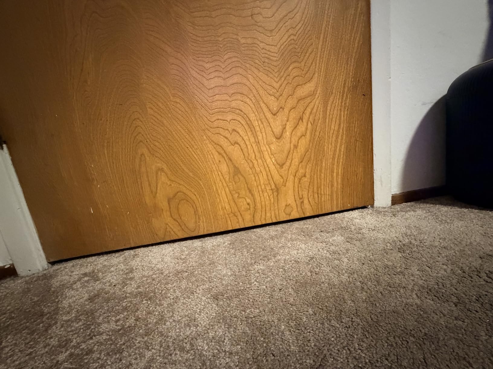 MAXTID Large Door Draft Stopper for Bottom of Doors 36