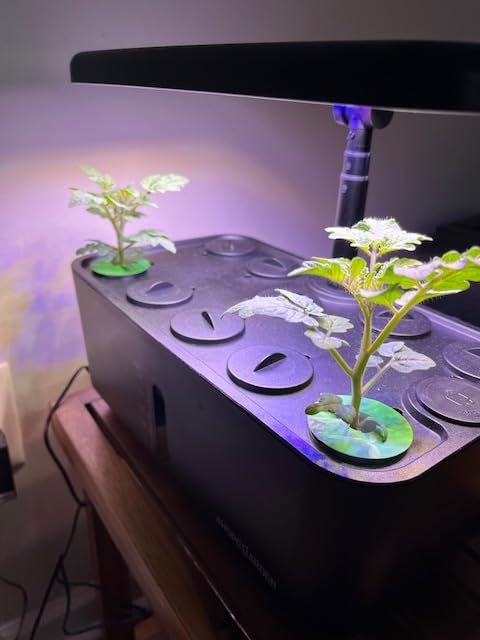 Ahopegarden Indoor Garden Hydroponics Growing System: 10 Pods Kit with LED | Plant Germination Kit Herb Vegetable Growth Lamp Countertop, Hydroponic Planter Grower Harvest Lettuce for Healthy Home Cooks customer photo 2