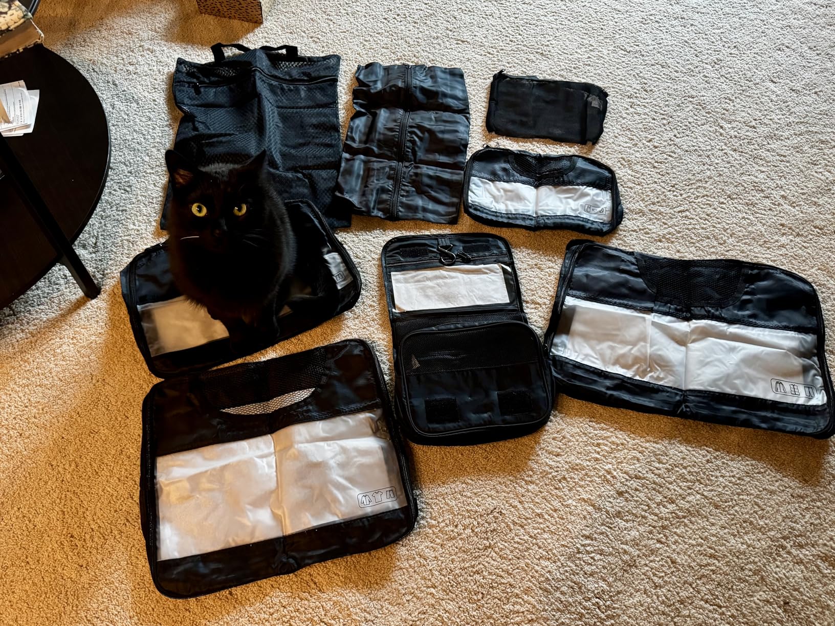 Veken 10 Set Packing Cubes for Travel Essentials - Suitcase Organizer Bags in 4 Sizes with Laundry & Toiletry Bag customer photo 1