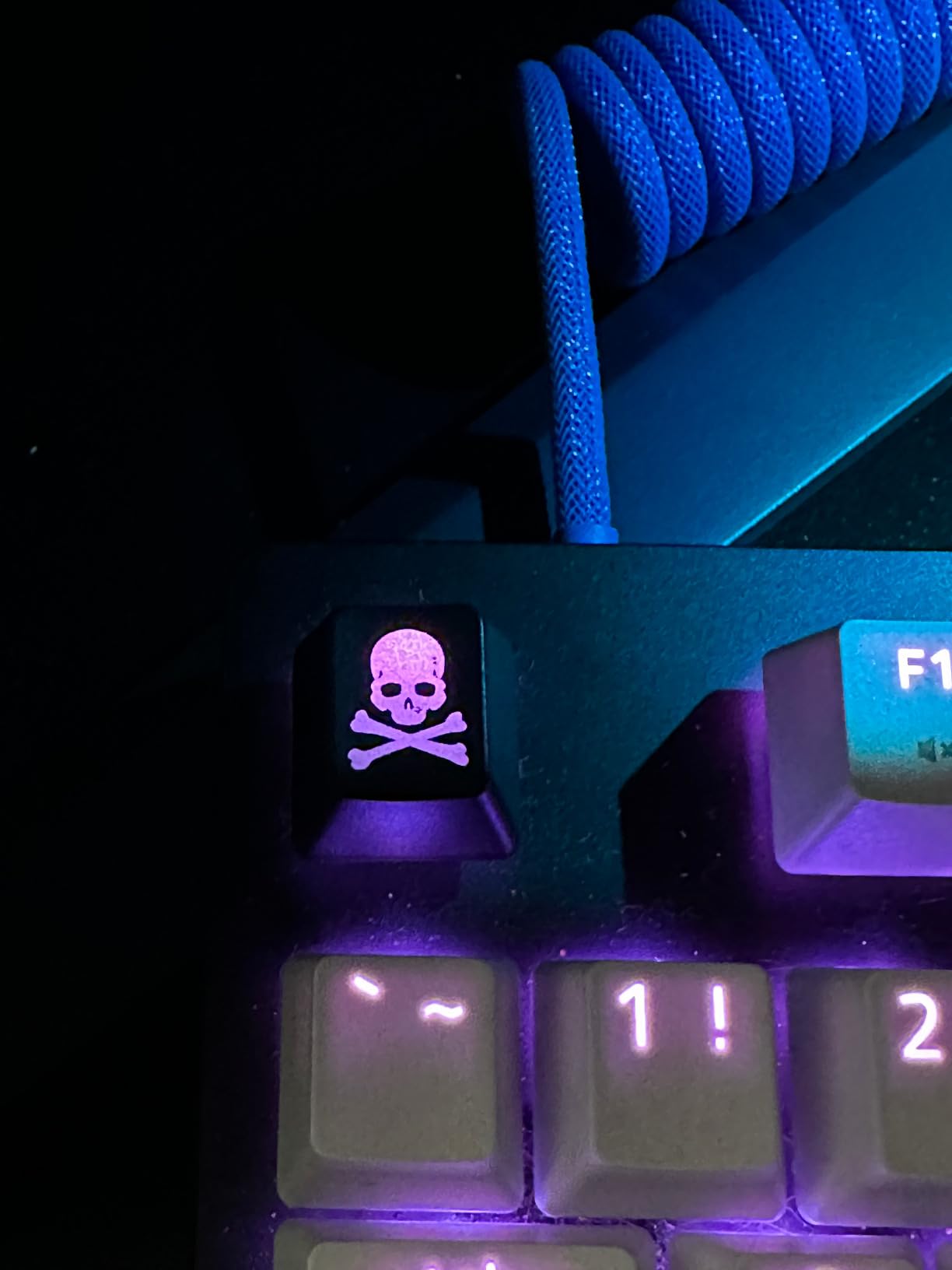 Skull Artisan Keycap, Custom Mechanical Keyboard Keycap, SA Profile, R4, Translucent Backlight customer photo 1