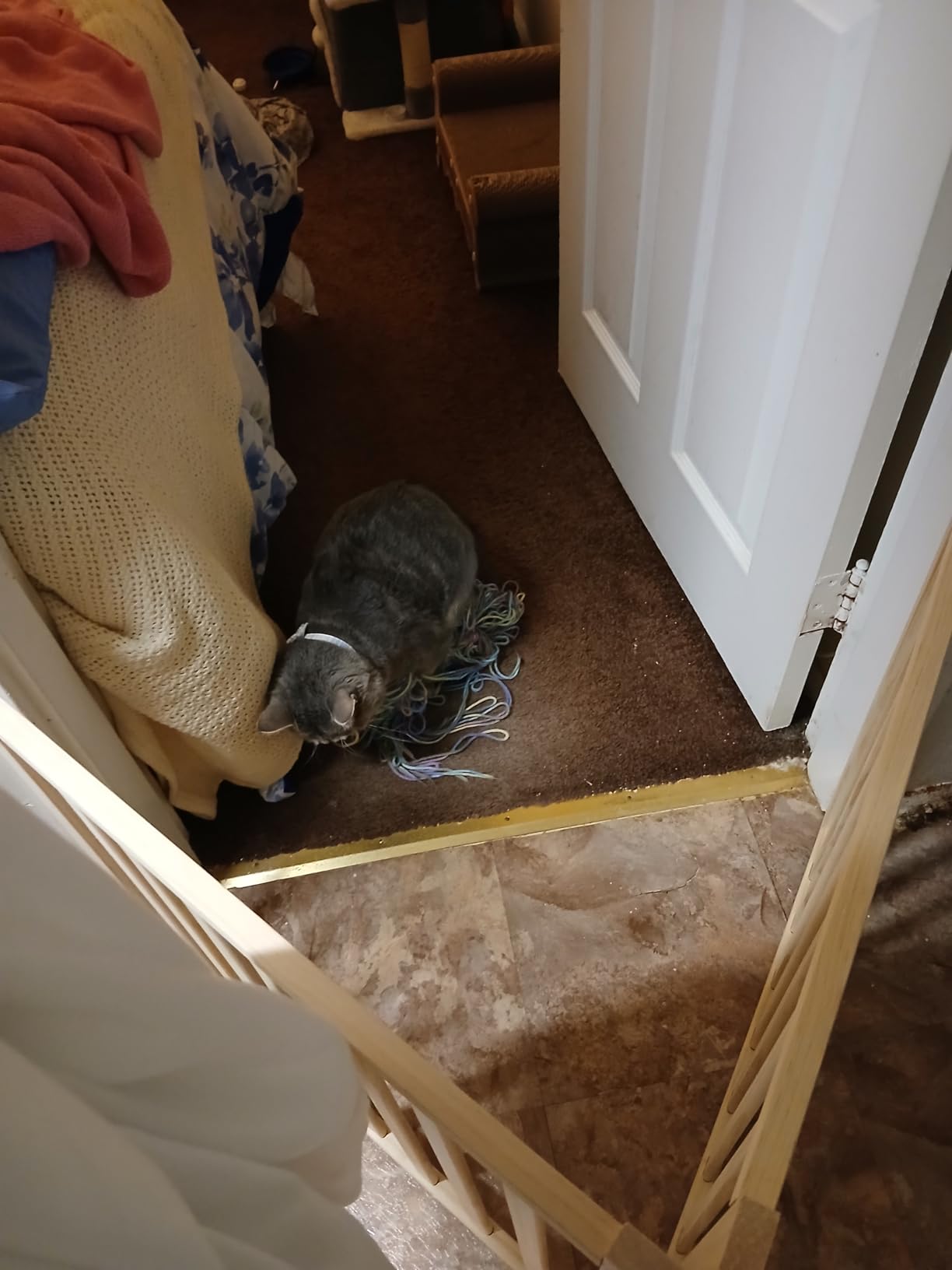 YOCAN Paint-Free Wood FreeStanding Pet Gate for Dogs, Wooden Dog Gates for Doorways, Stairs, The House, Dog Fences Indoor Puppy Gate - 2 Panel H:23