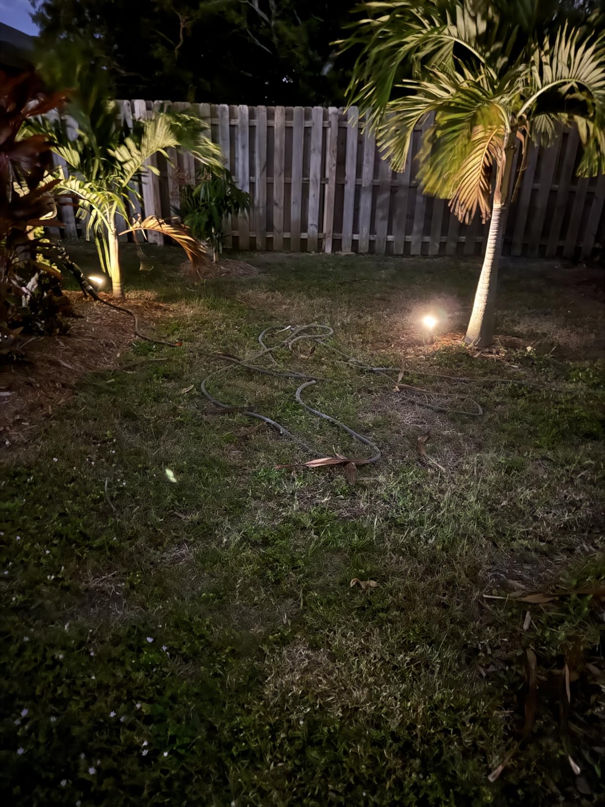 NYMPHY Solar Lights Outdoor Waterproof IP68, 56 LED 3 Lighting Modes Solar Powered Garden Yard Spot Solar Lights for Outside Landscape- 4 Pack (Warm White) customer photo 1