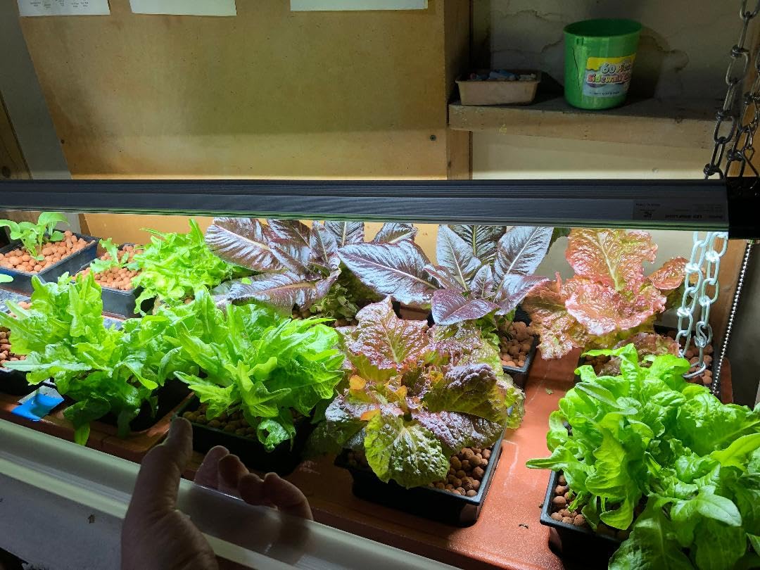 Barrina BS84 LED Shop Light for Garage, 10000LM, 84W, 4FT, 5000K Linkable Light Fixture for Workshop, Basement, Hanging or Flush Mount, Heat Dissipation with Pull Chain Switch, ETL, 1 Pack customer photo 1