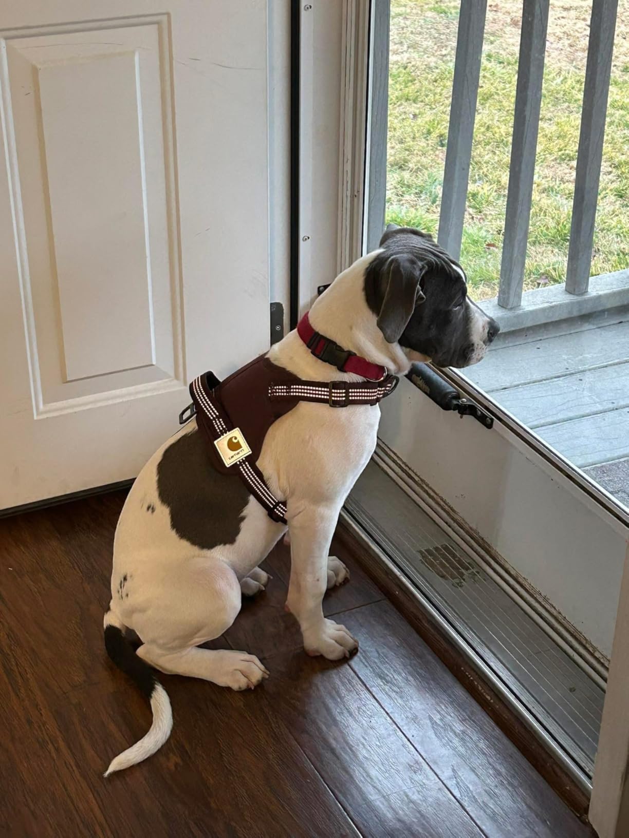 Carhartt Nylon Duck No Pull Dog Harness, Fully Adjustable Dog Harness with Quick Control Handle and Reflective Accents, Carhartt Brown, Large customer photo 1