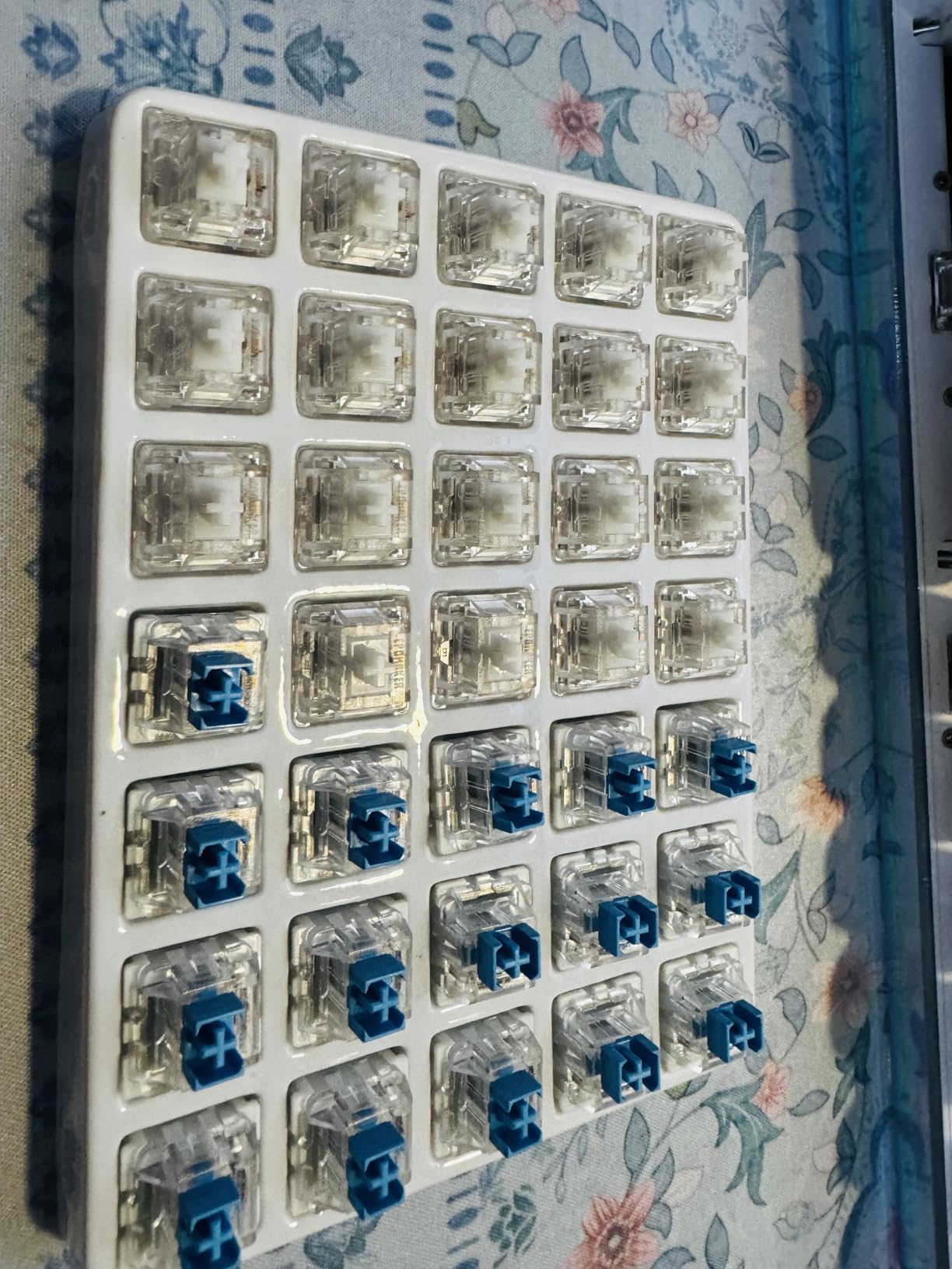 EPOMAKER Silent Mechanical Keyboard Switches Set - 35 Pieces Factory Pre-Lubed, 5-Pin Linear/Tactile Switches for Custom Mechanical Keyboards (Sea Salt(Linear Silent)) customer photo 1