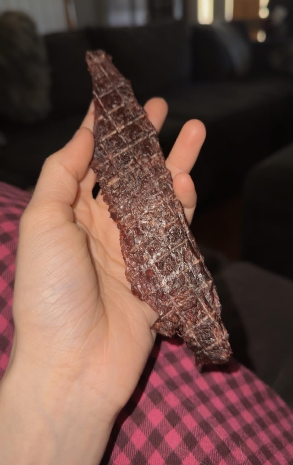 Magic Mill Pro Food Dehydrator Machine | Powerful 600W Rear Fan Even-Drying System | 7 Full-Size Stainless Steel Trays | 95°-176° Temperature Control, 48H Timer, Keep Warm + Auto Shutoff | ETL Listed customer photo 2