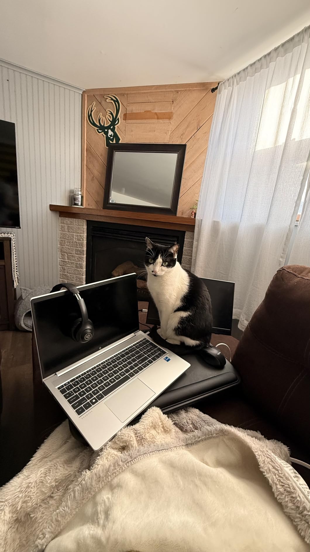 SAIJI Laptop Lap Desk, Portable Laptop Desk for Bed - Fits Up to 17