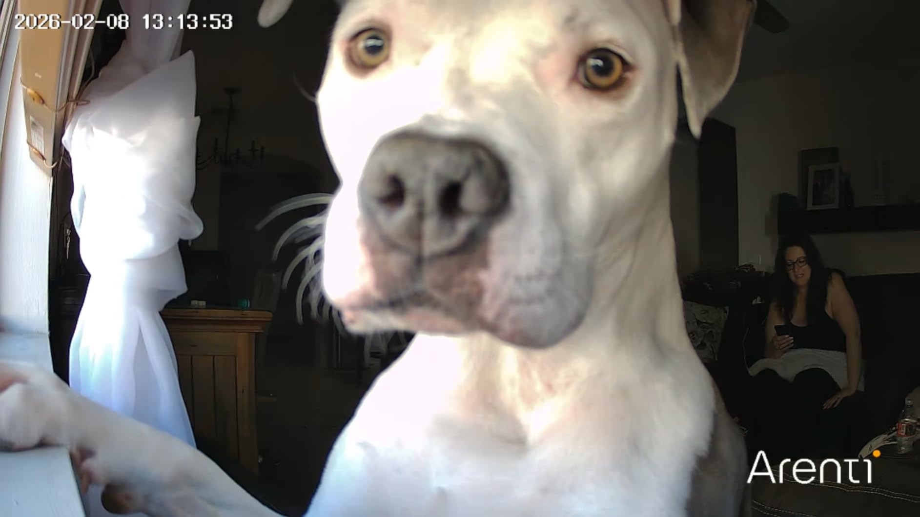 ARENTI 5G Indoor Security Camera, 4MP Pet Camera with Speaker for Dog/Cat, Baby Monitor with Phone App, Dual-Band WiFi, Auto Tracking, Super Night Vision, 2-Way Talk, Cloud & SD Card Storage(P2Q) customer photo 2