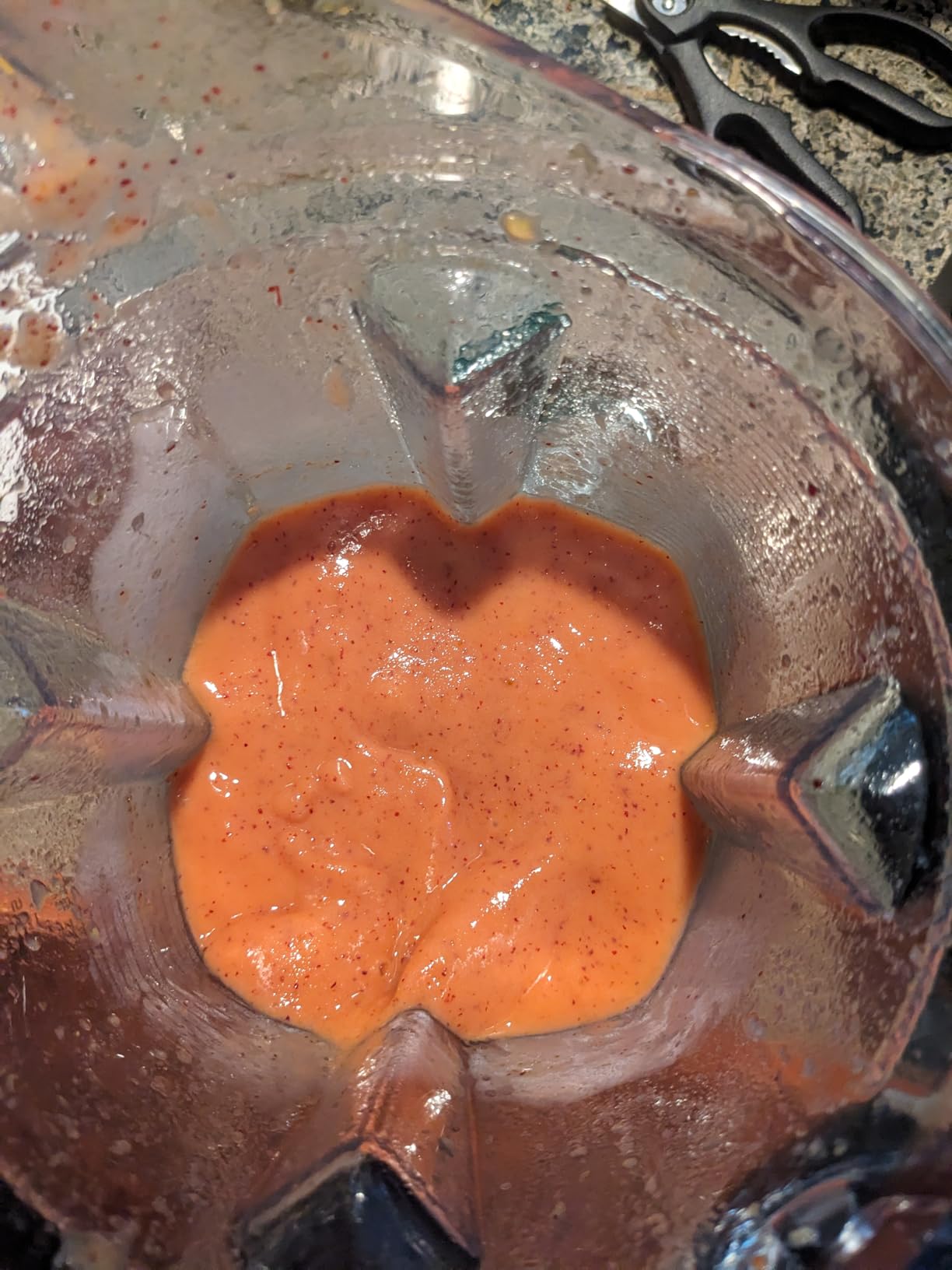 Vitamix Propel Series 750 Professional-Grade Blender with Four Blending Programs for Smoothies, Soups and More, Self-Cleaning, Stainless-Steel Blades, 64 Oz Container, Black customer photo 2