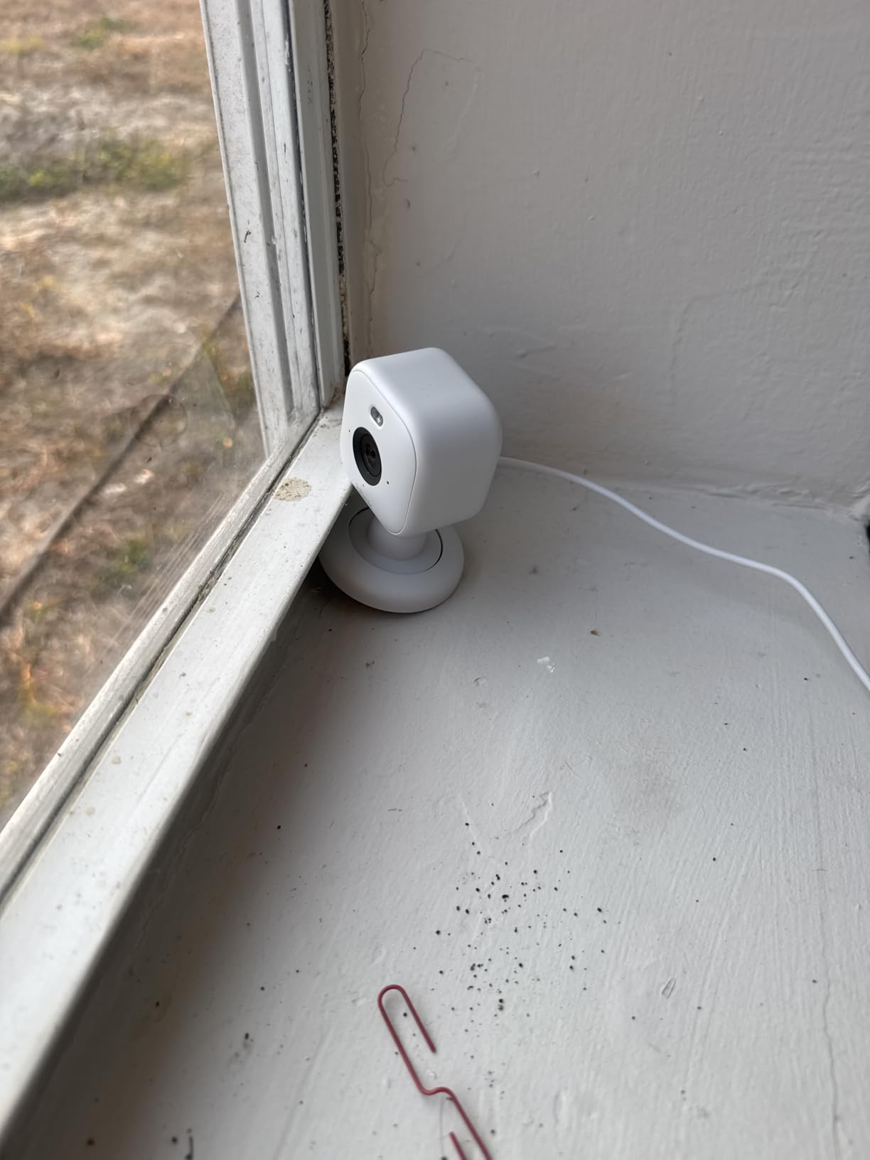 Blink Mini 2 - Home Security & Pet Camera with HD video, color night view, motion detection, two-way audio, and built-in spotlight - 1 camera (White) customer photo 2