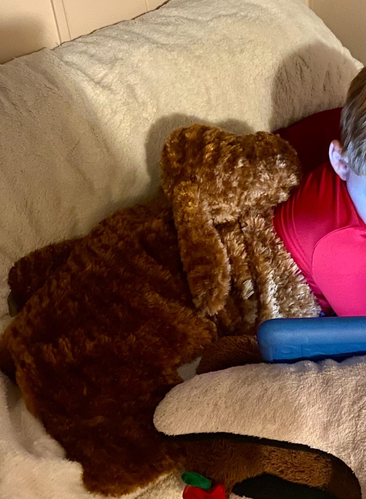 ODOXIA Weighted Lap Pad for Kids | Calming & Comforting | Lap Animal | Dog Buddy | Sensory Weight Animals | Weighted Blanket for Sensory Disorder | Carrying Bag Included | 5 Lbs customer photo 1