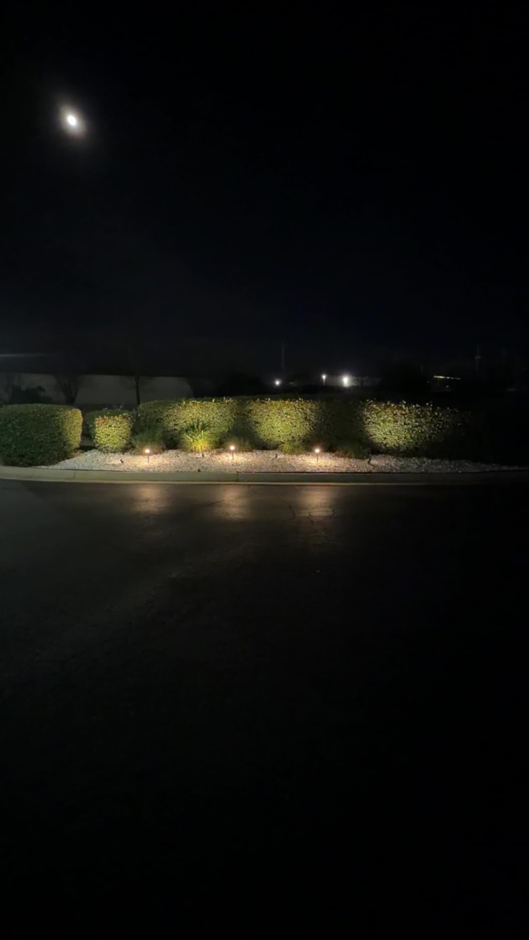 SUNVIE LED Low Voltage Landscape Lighting 12V Landscape Lighting Kit with Connectors, Low Voltage Pathway Lights with Spotlights Aluminum Pathway Lights Wired Waterproof for Patio Yard Garden, 12 Pack customer photo 2