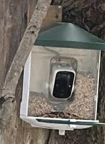HARYMOR Smart Bird Feeder with Camera - AI Identify Birds Species, Solar Powered Bird House with Cam, 2L Large Capacity, 2K HD Video Live Stream, Instant Arrival Alerts - Green customer photo 2