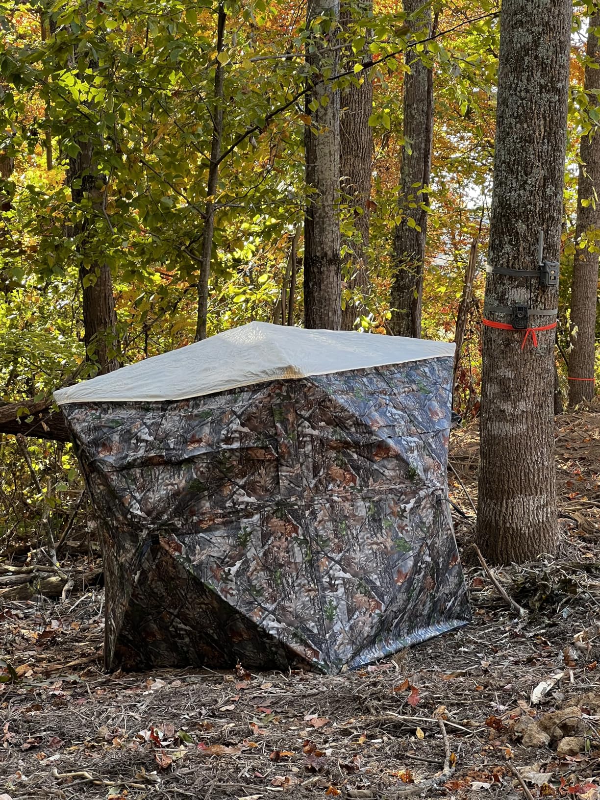 Lenotos Hunting Blind, 2 Person Pop Up Blinds 360 Degree See Through, Portable Durable Hunting Ground Blinds for Deer & Turkey Hunting customer photo 2