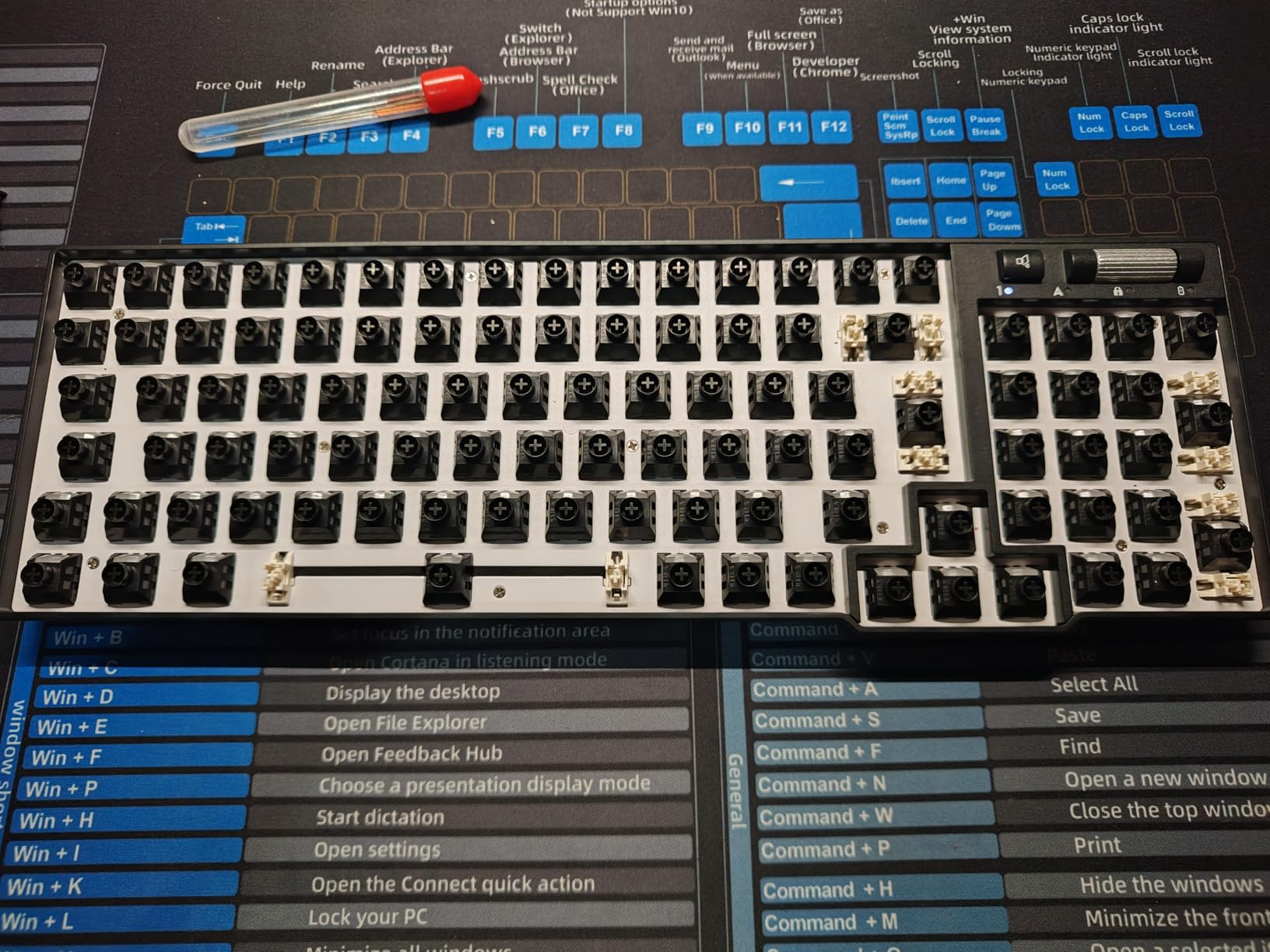 Kailh Box Navy Switches for Mechanical Gaming Keyboard,3-Pin 60gf Clicky/Factory Lubed/IP56 Dust&Waterproof Switches(Kailh Box Navy,36Pcs) customer photo 1