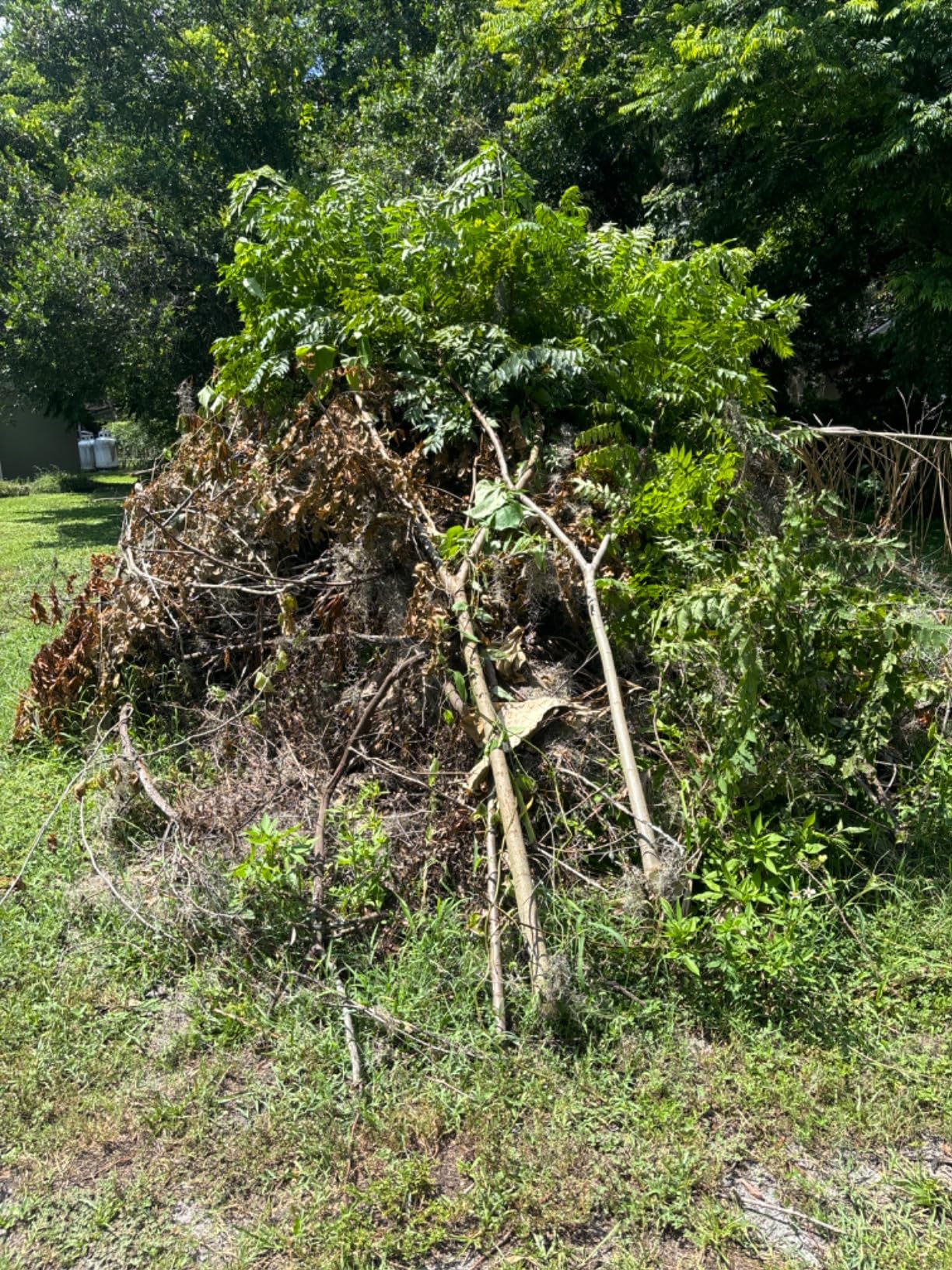 Husqvarna Power Axe 350i Cordless Electric Chainsaw, 18 Inch Chainsaw with Brushless Motor, 40V Lithium-Ion 7.5 Ah Battery and Charger Included customer photo 2
