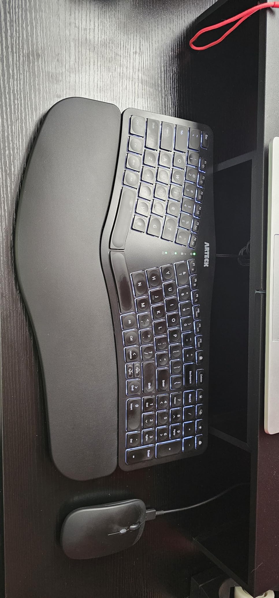 Arteck Ergonomic USB Wired Keyboard with Cushioned Wrist and Palm Rest, Backlit 7 Colors and Adjustable Brightness Comfortable Natural Split Keyboard, Windows customer photo 2