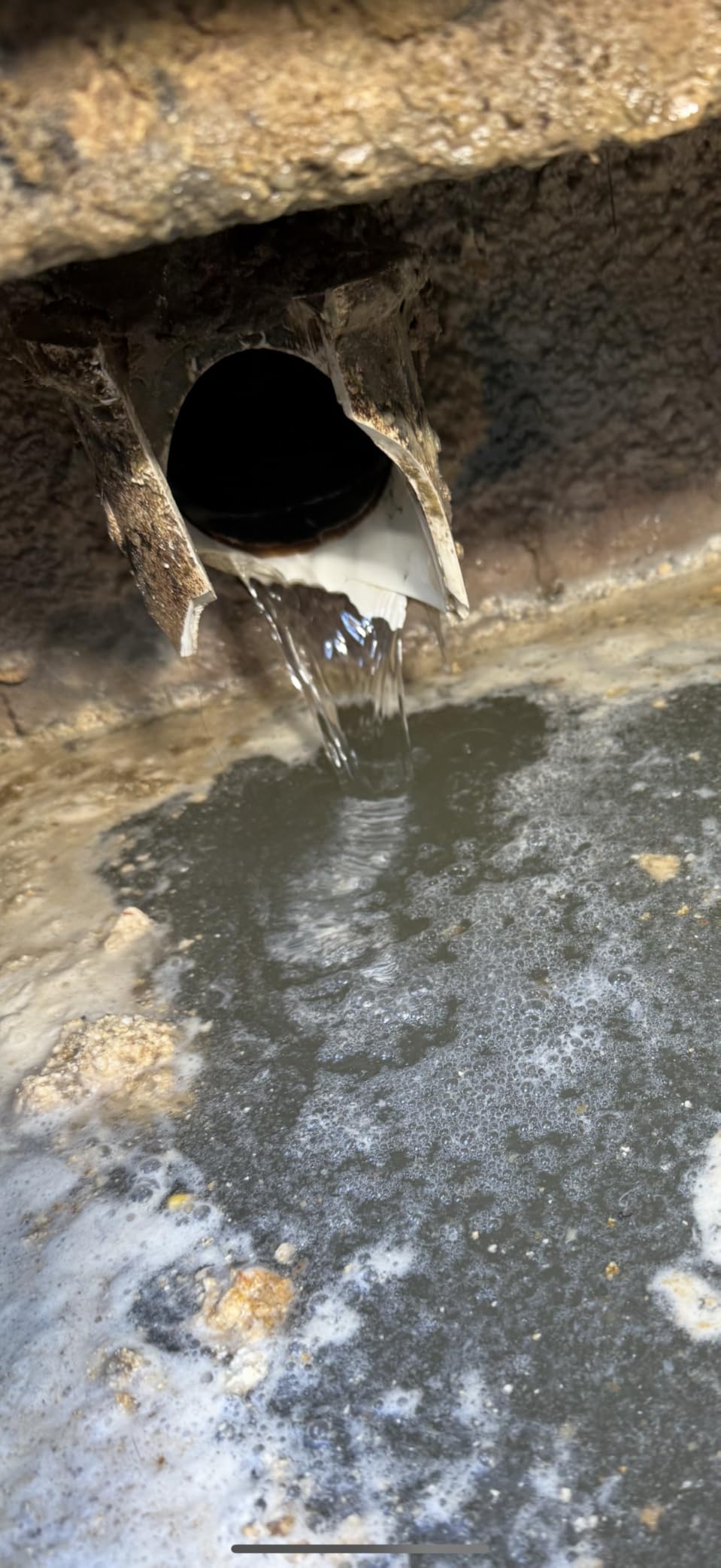 NIFUAL Sewer Jetter Kit for Pressure Washer,100FT 5800PSI Pressure Drain Cleaner 1/4 Inch NPT Corner Rotating and Button Hose Sewer Jetting Nozzle for Homeowners & DIYers customer photo 2