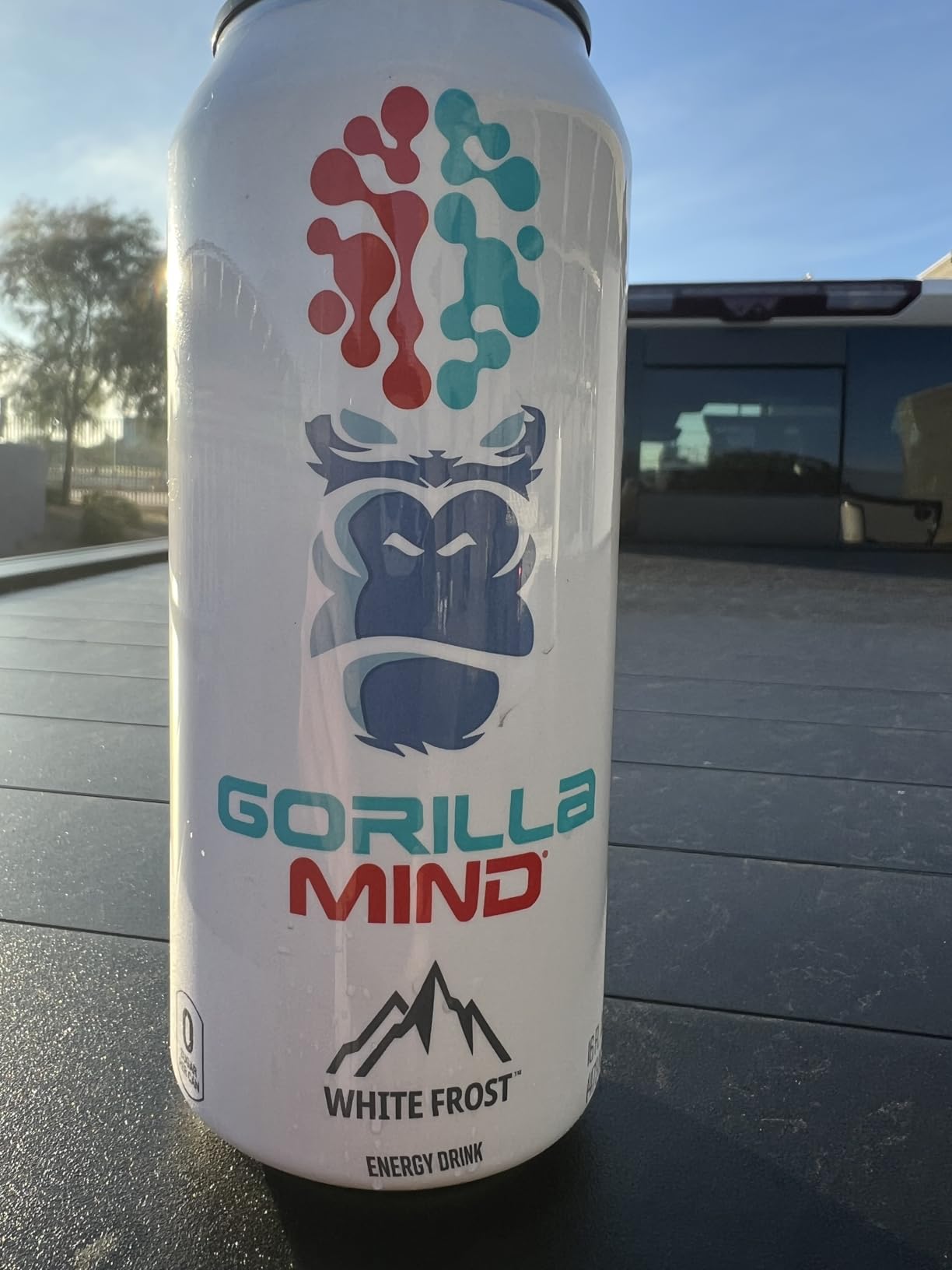 Gorilla Mind Energy Drink | Unmatched Energy · Amplified Focus | N-Acetyl-L-Tyrosine, Alpha-GPC, 200mg Caffeine, Uridine, Saffron | 0 Sugar Or Artificial Colors | 16oz, 12-Pack (White Frost) customer photo 1